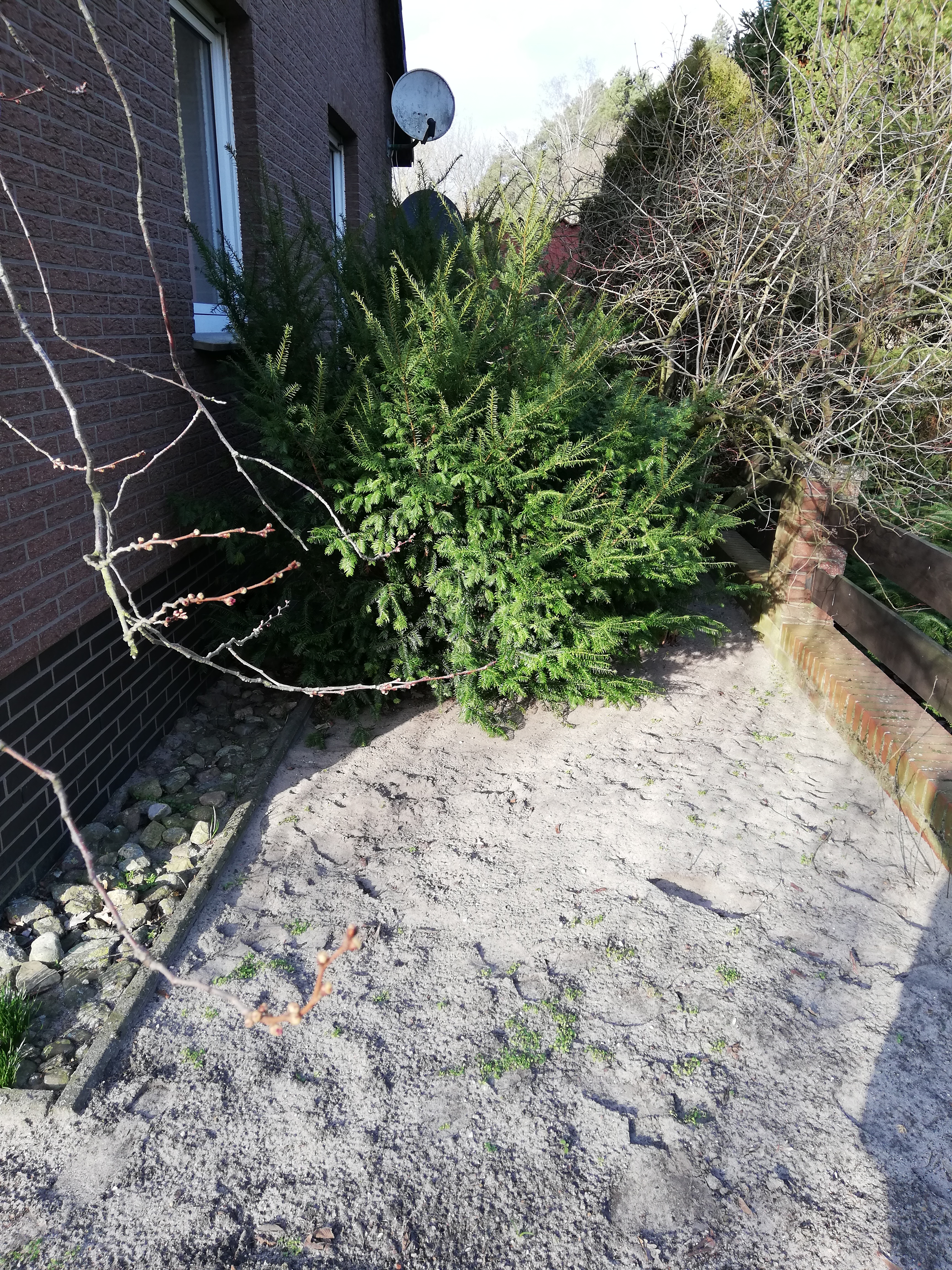vorgarten-gestaltung-tipps-erwuenscht-315439-1.jpg
