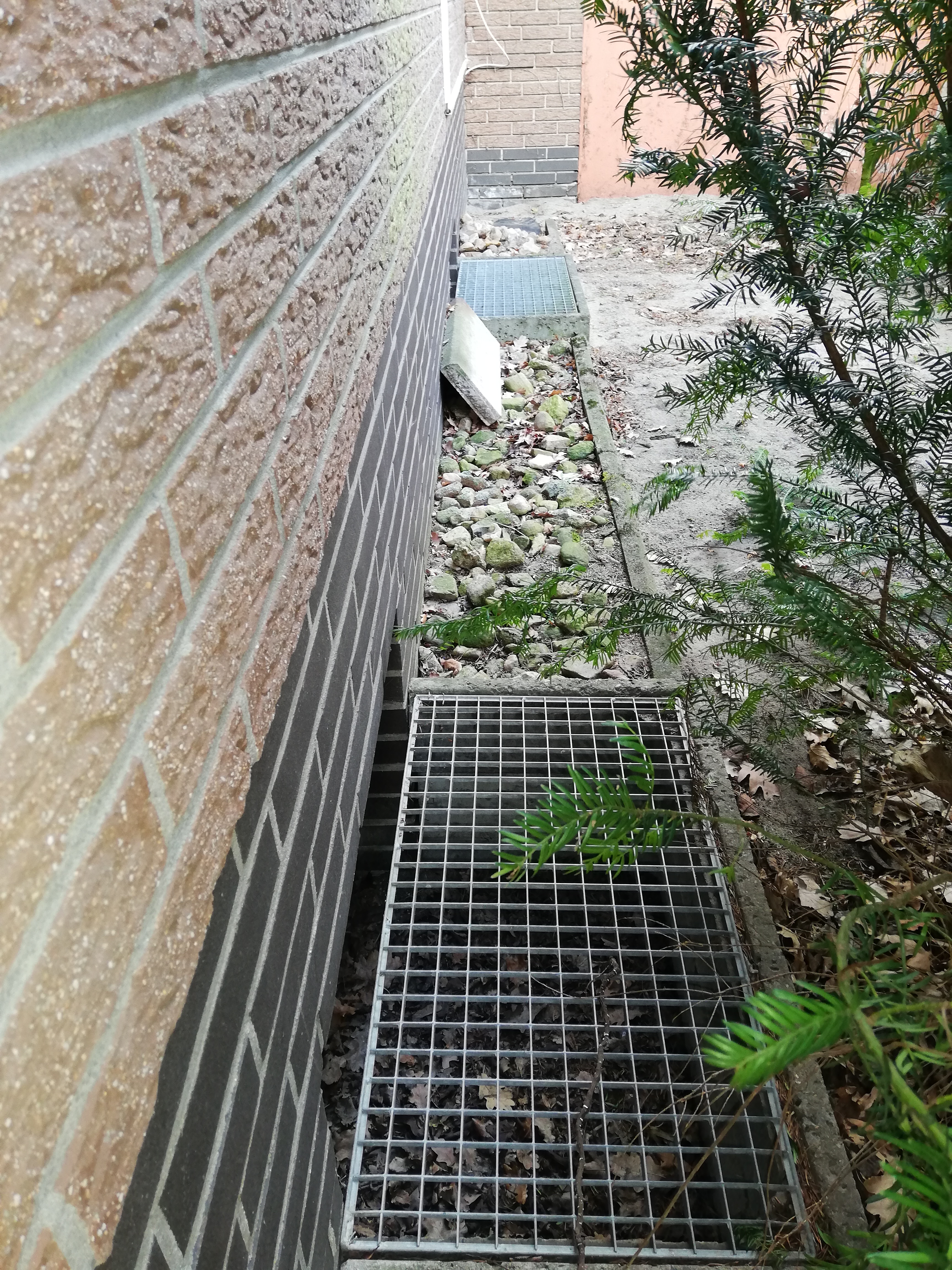 vorgarten-gestaltung-tipps-erwuenscht-315439-2.jpg