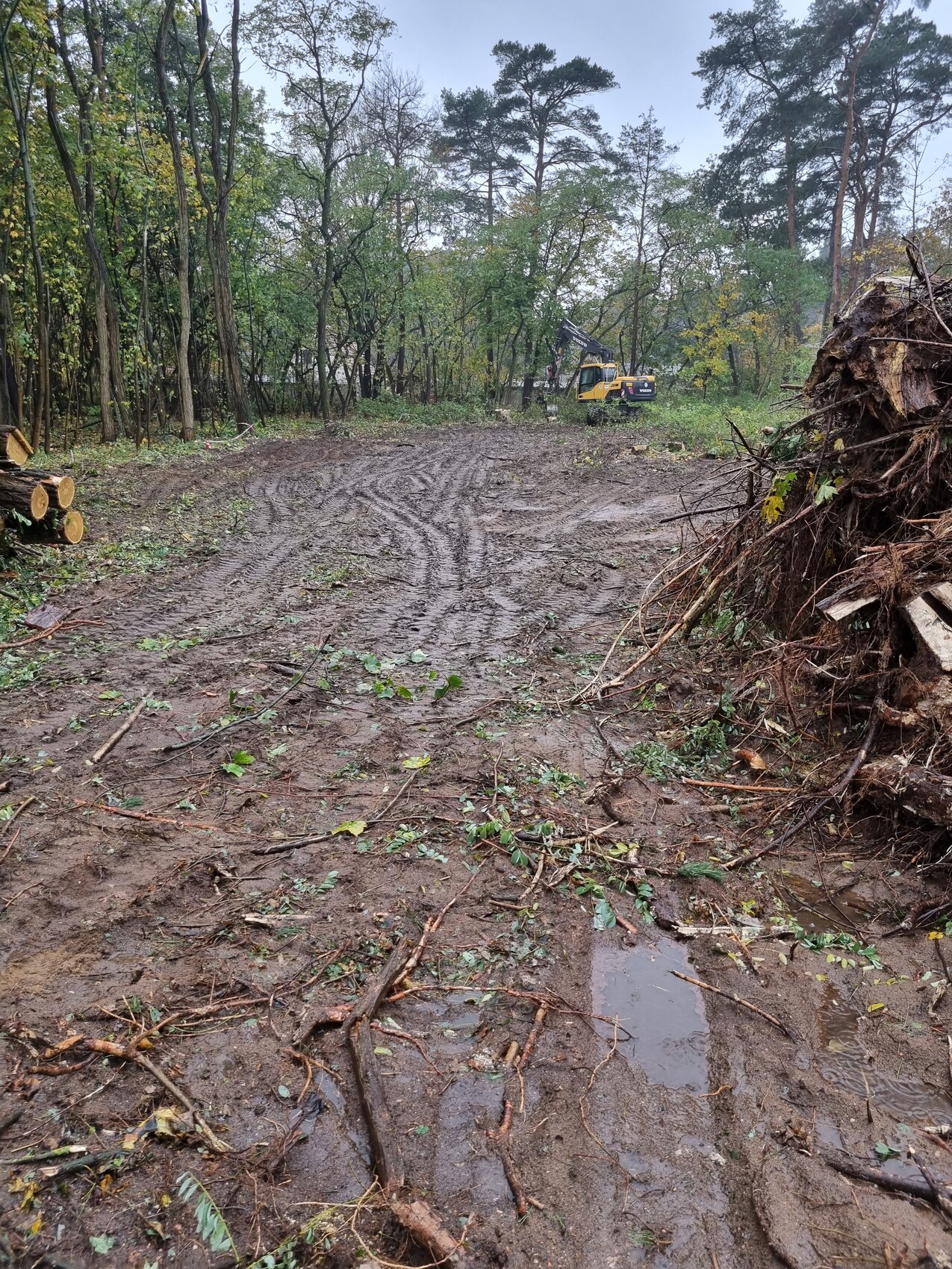 Matschiger Waldweg mit gelbem Bagger; links Holzstämme, rechts aufgeschichtete Wurzeln.