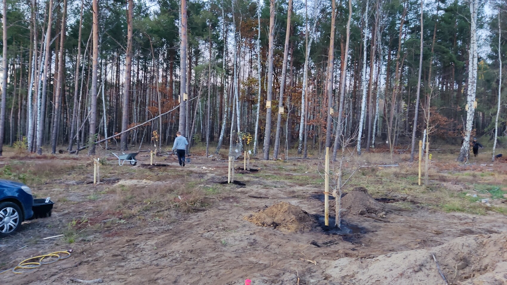 Baustelle im Wald mit Erde, Holzpfosten und Arbeiter bei Bauvorbereitung.