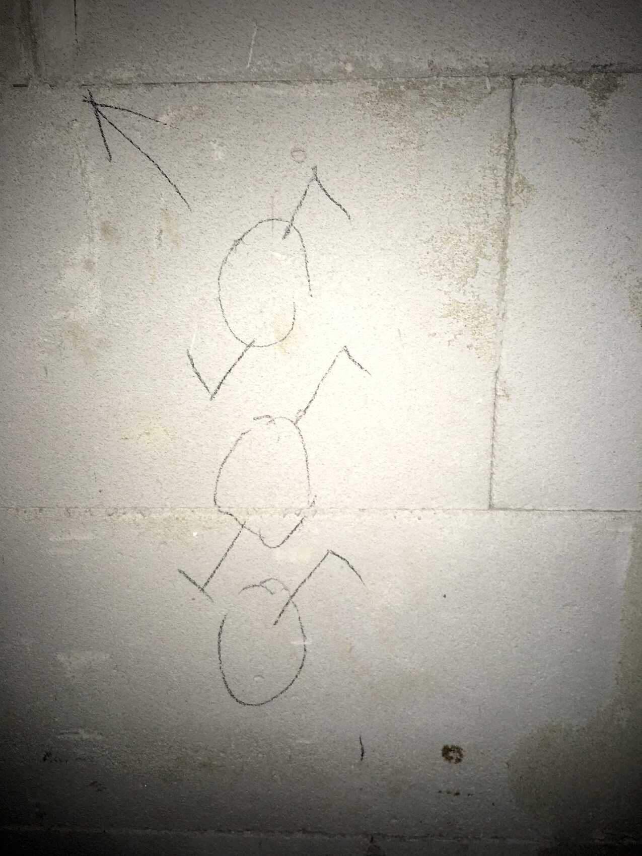 Kritzeleien auf roher Betonwand: drei Kreise verbunden durch Linien, einfache Skizze
