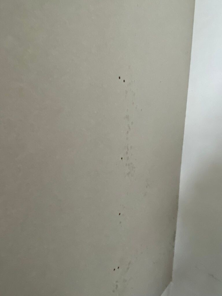 Helle Innenwand mit einer vertikalen Reihe kleiner dunkler Flecken.