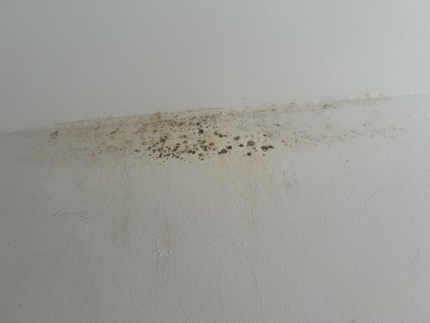 Diagonal verlaufende braune Flecken an einer weißen Wand; deutliche Feuchtigkeitsspuren.