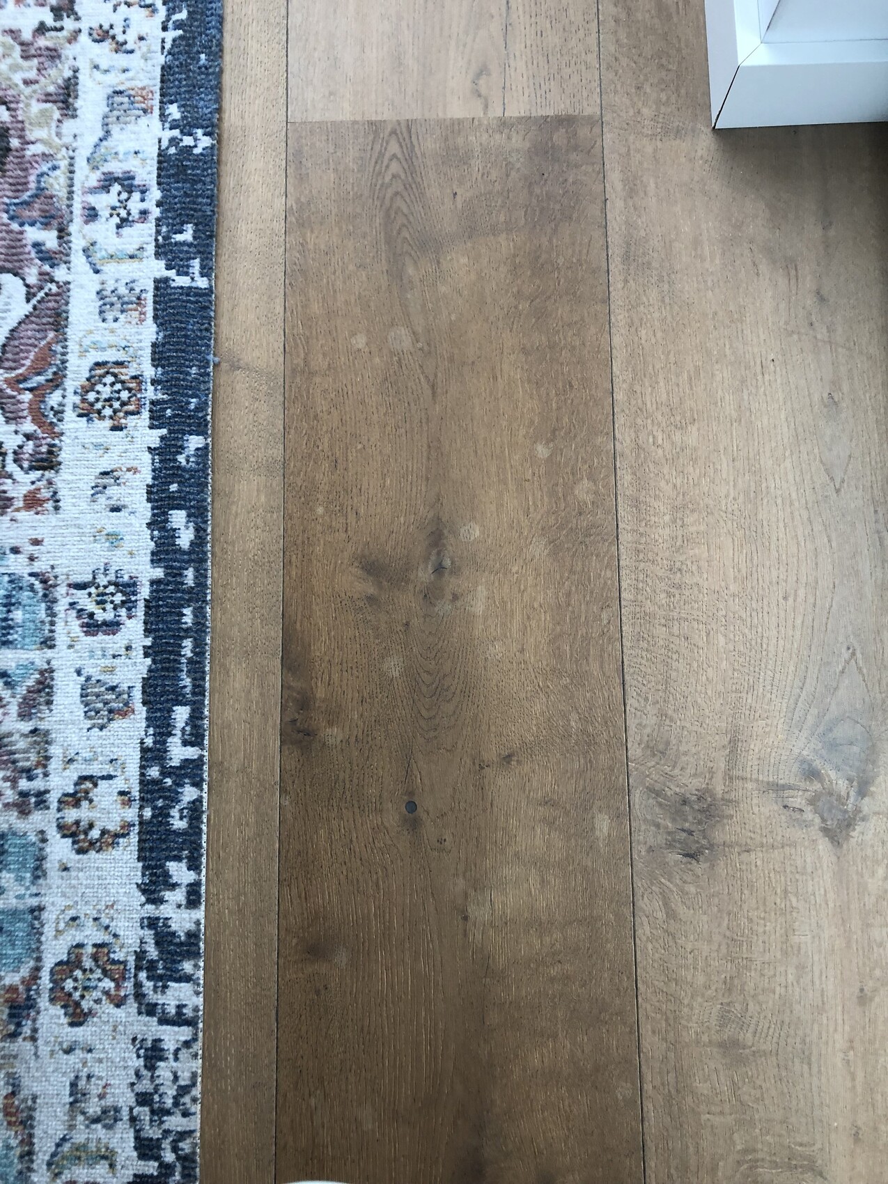 Holzboden mit breiten Holzdielen, links Teppichrand, oben rechts weiße Möbelkante.