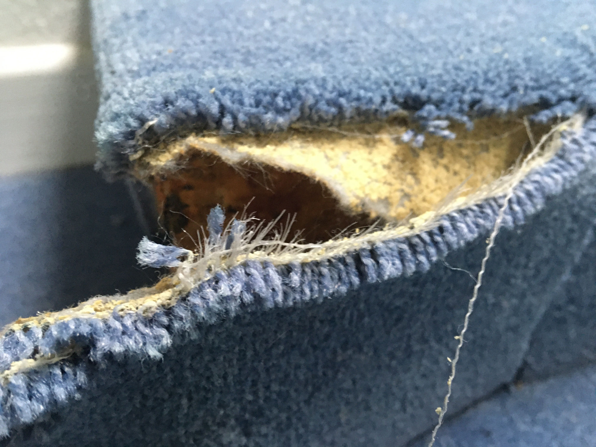was-ist-das-fuer-ein-vlies-unter-dem-teppich-altbau-375674-1.jpg