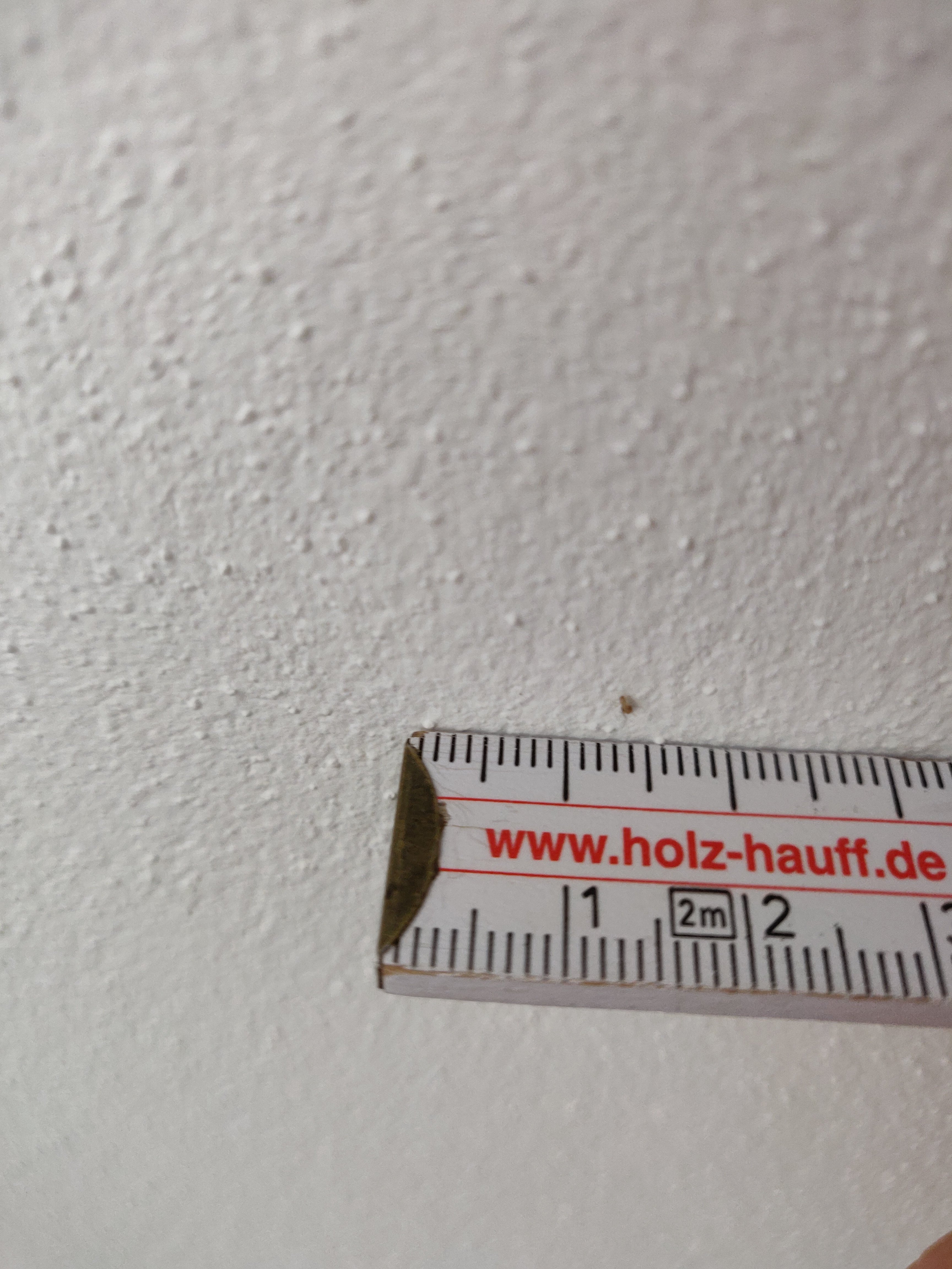 was-sind-das-fuer-viecher-und-wo-kommen-sie-her-379663-1.jpg