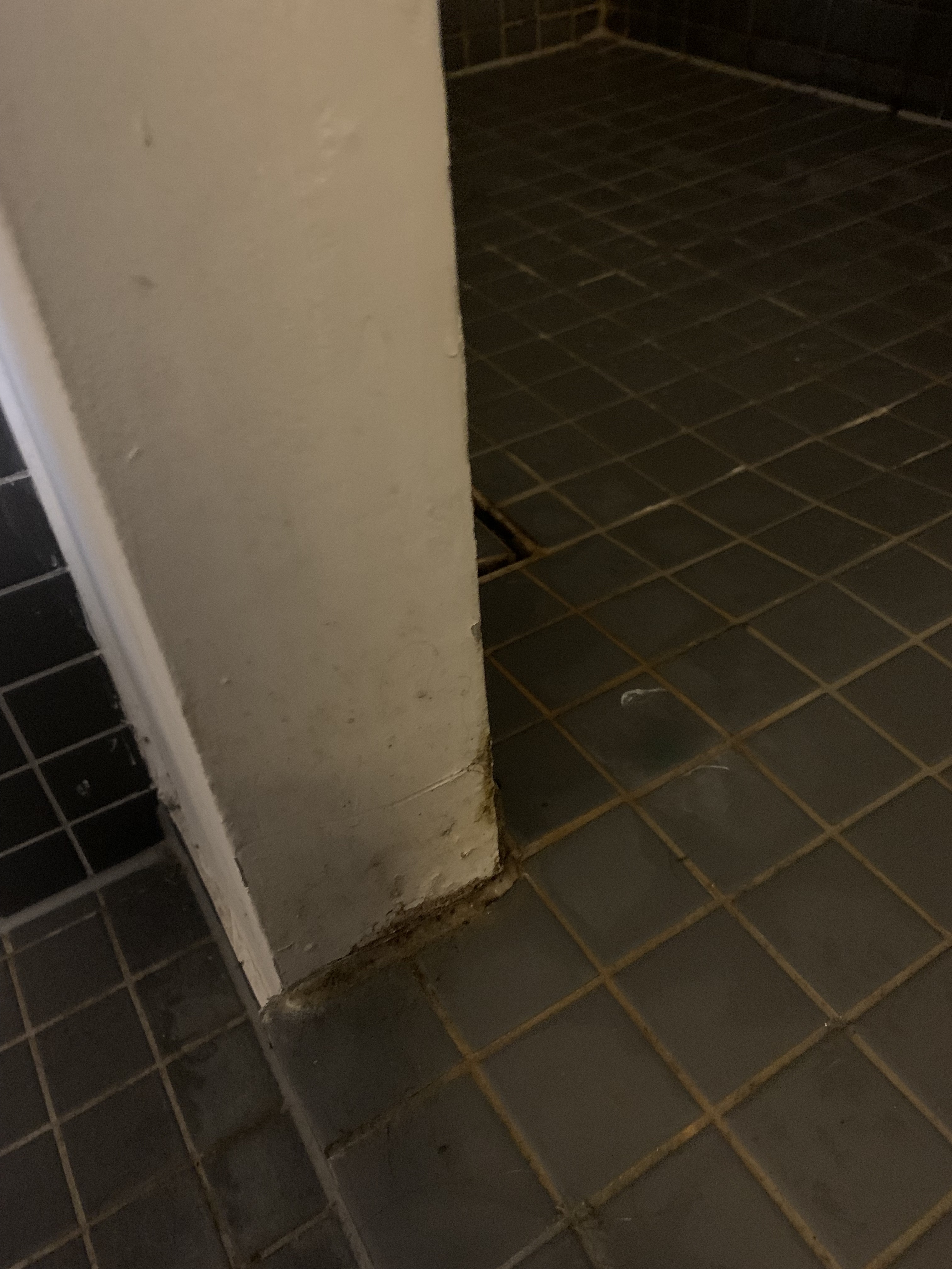 wasserdichte-wandfarbe-zwecks-schimmelvermeidung-599525-1.jpg