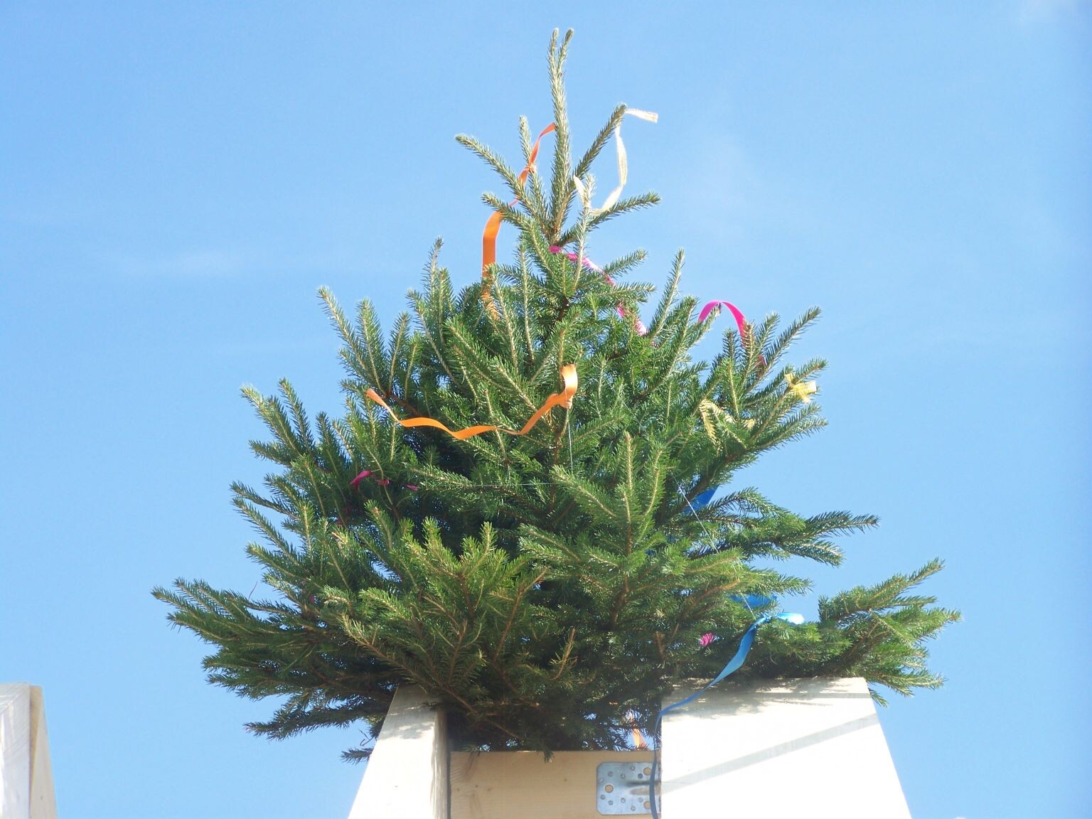 Fröhlich geschmückter Tannenbaum mit bunten Bändern vor blauem Himmel.