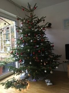Weihnachtsbaum im Wohnzimmer neben Fenster, dekoriert mit Kugeln und Lichterketten
