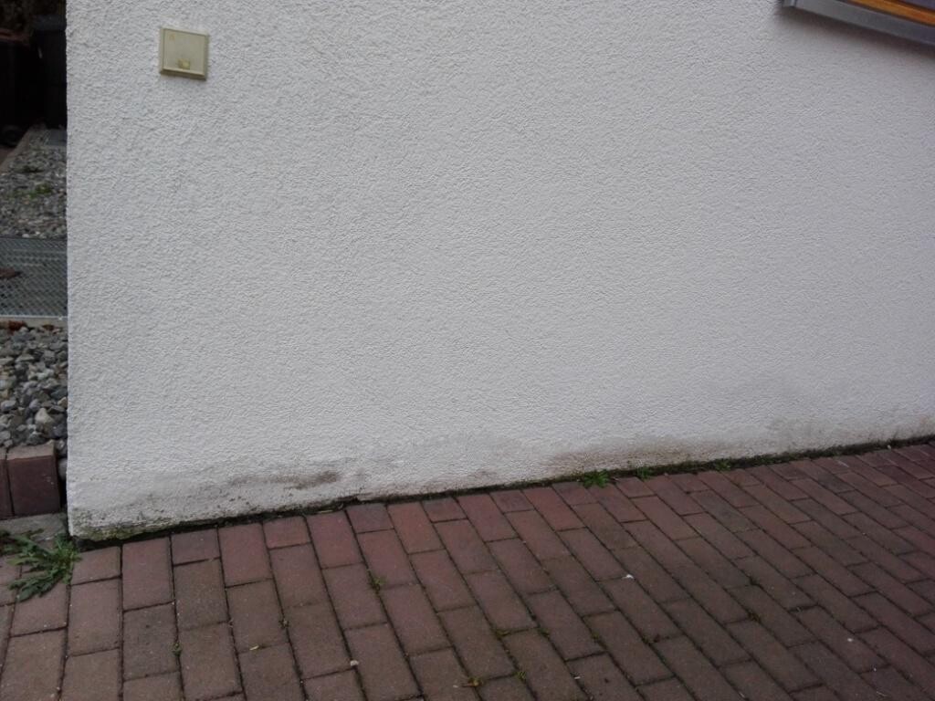 Weisse Aussenwand mit Putzstruktur und Feuchteflecken am unteren Rand.