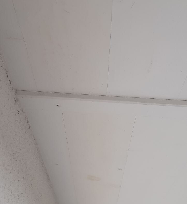 Weißes Deckenpaneel mit Fugen; linke raue Wand, wenige Flecken.