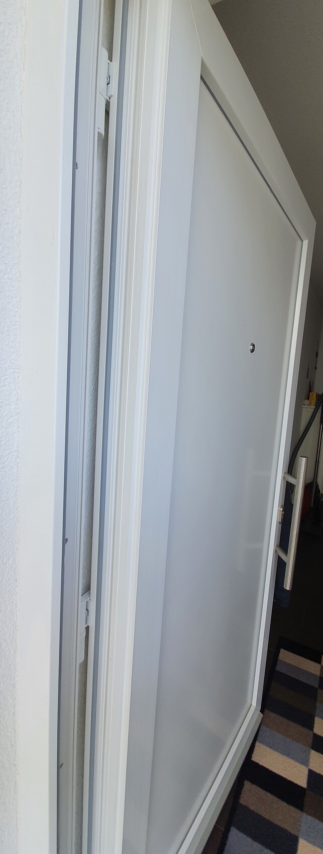 Weiße Haustür im Flur, Türspion und Griff sichtbar; gestreifter Teppich davor.