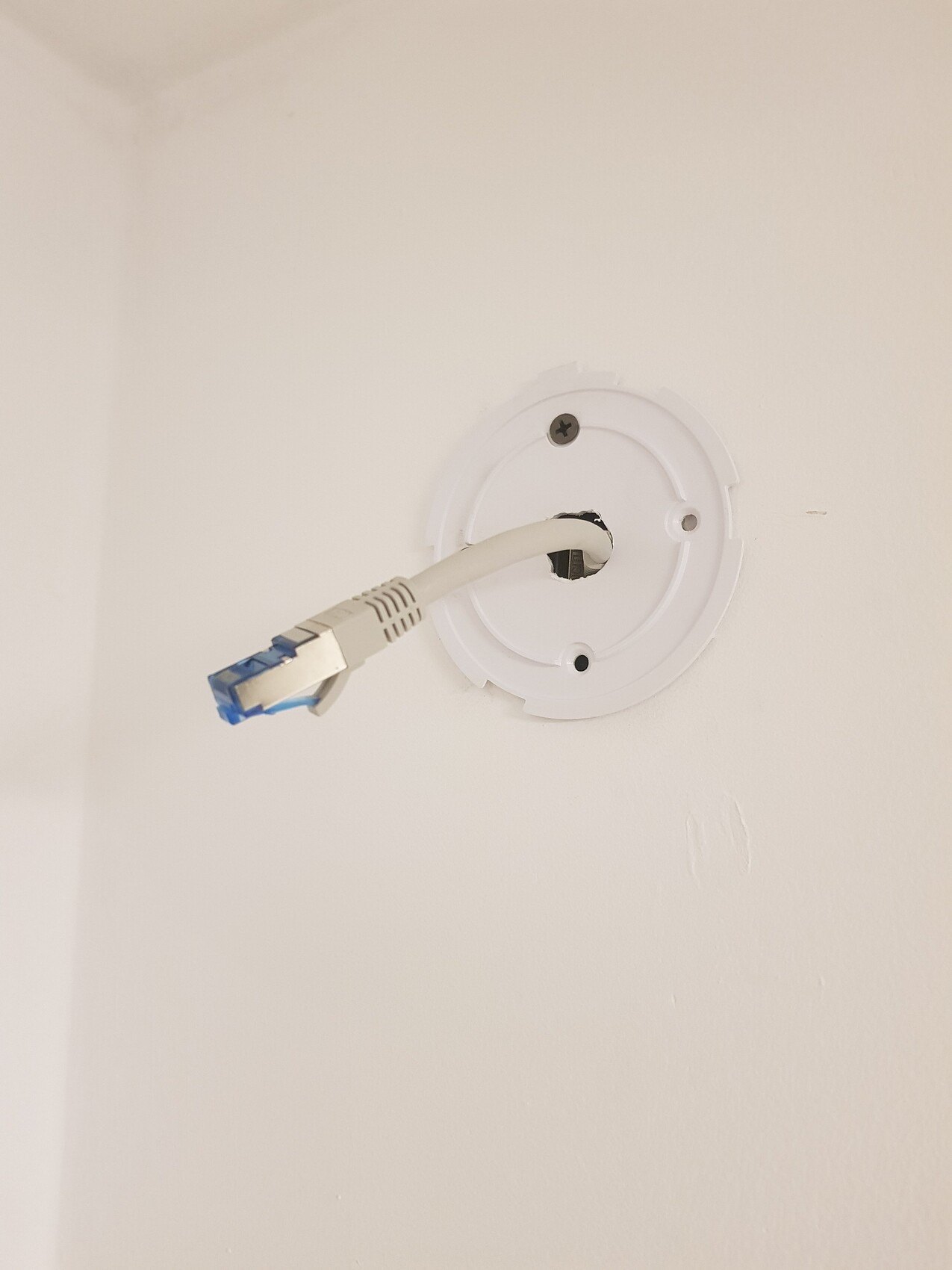 Weiße runde Wanddose mit RJ45-Netzwerkkabel, das eingesteckt ist.