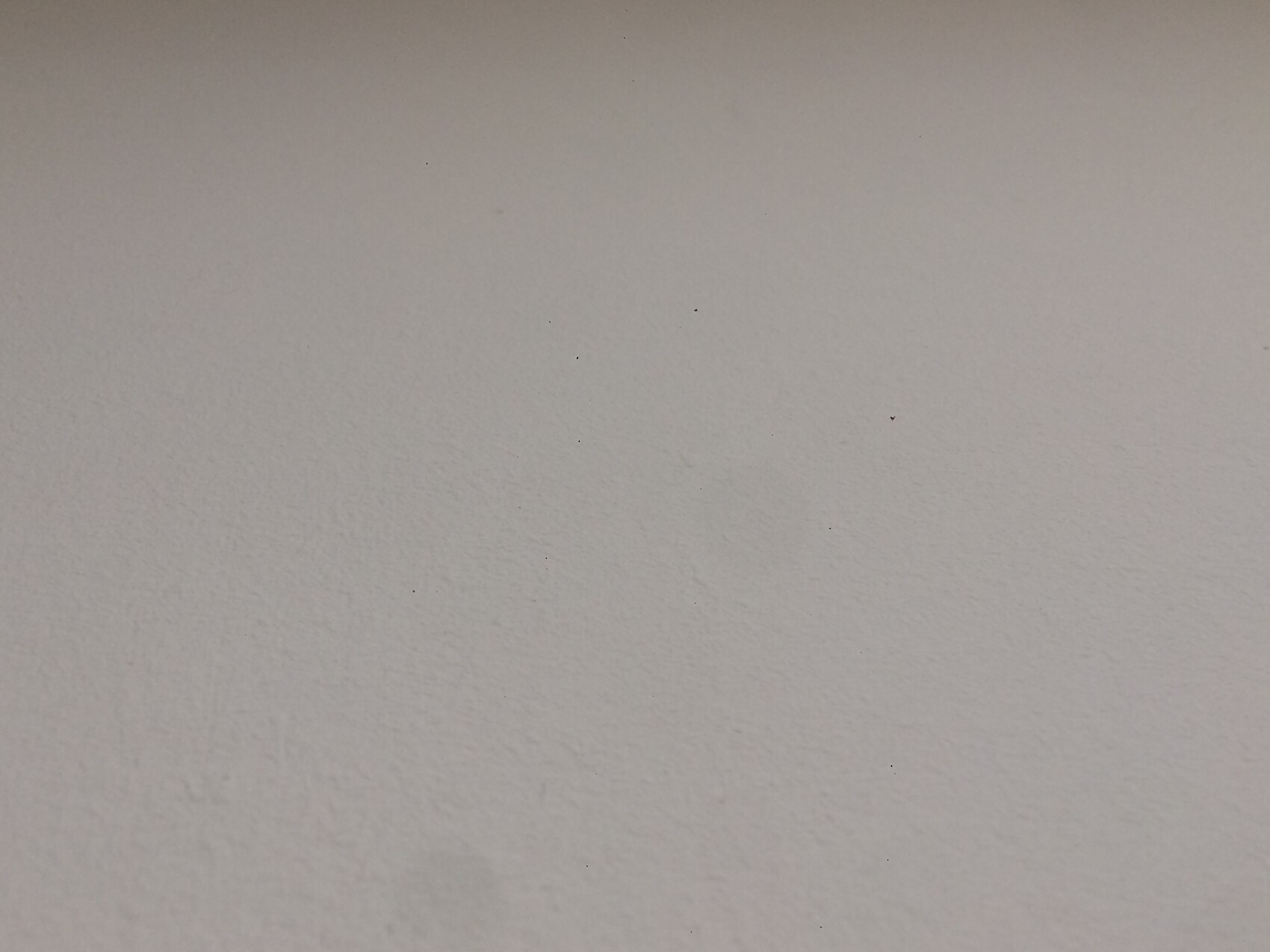 Helle weiße Innenwand mit leichter texturierter Struktur.
