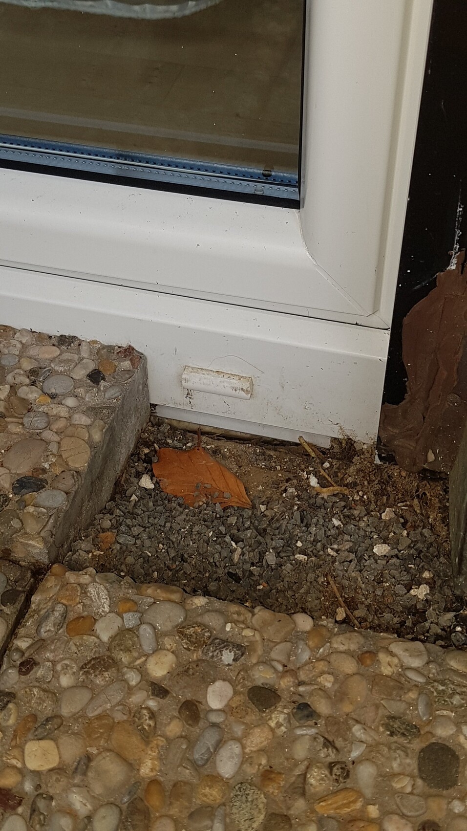 Weisser Fensterrahmen im Außenbereich, sichtbar Erdreich und Kiesuntergrund darunter.