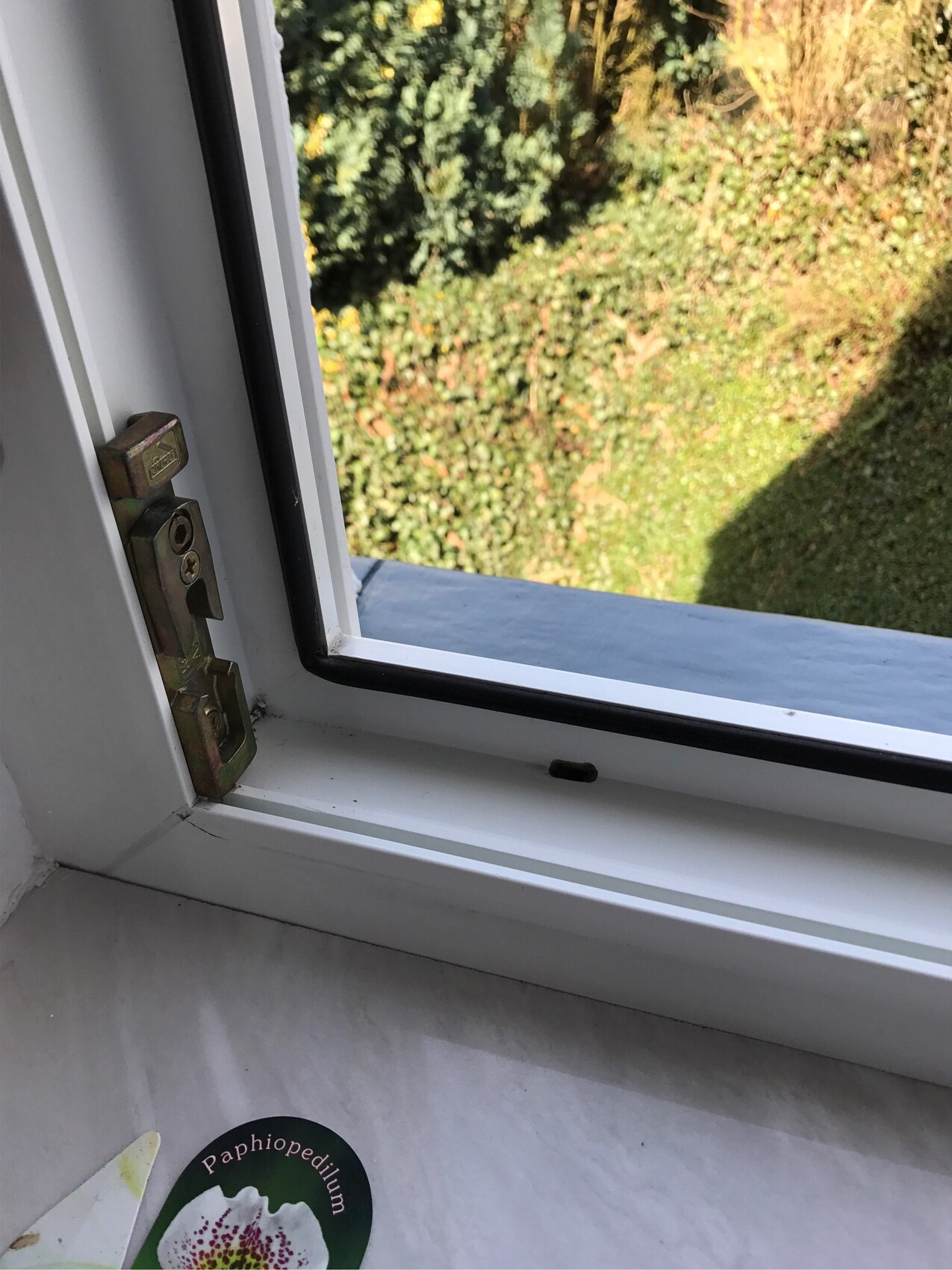 Weisser Fensterrahmen offen mit Blick nach draußen auf Garten mit Hecken