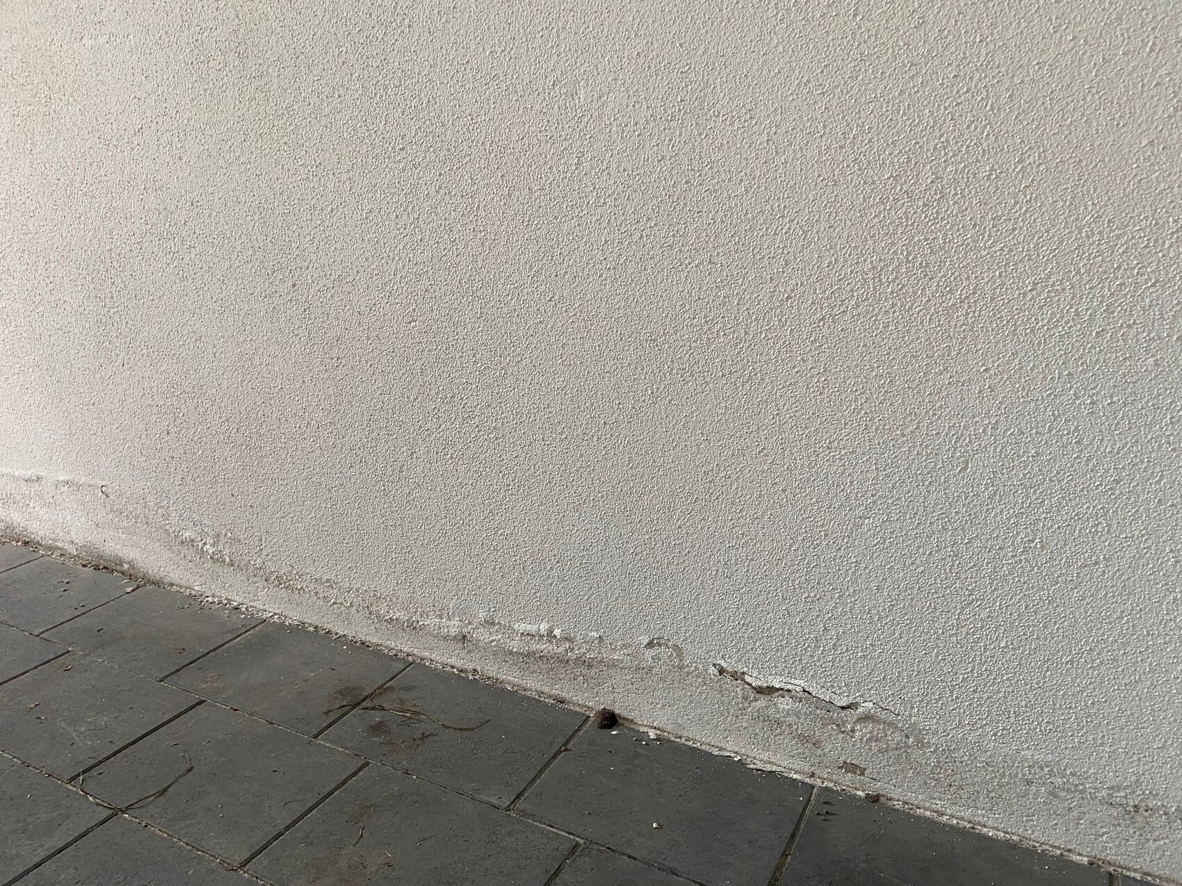 Beige verputzte Außenwand mit grober Struktur, unten Risse und Abplatzungen.