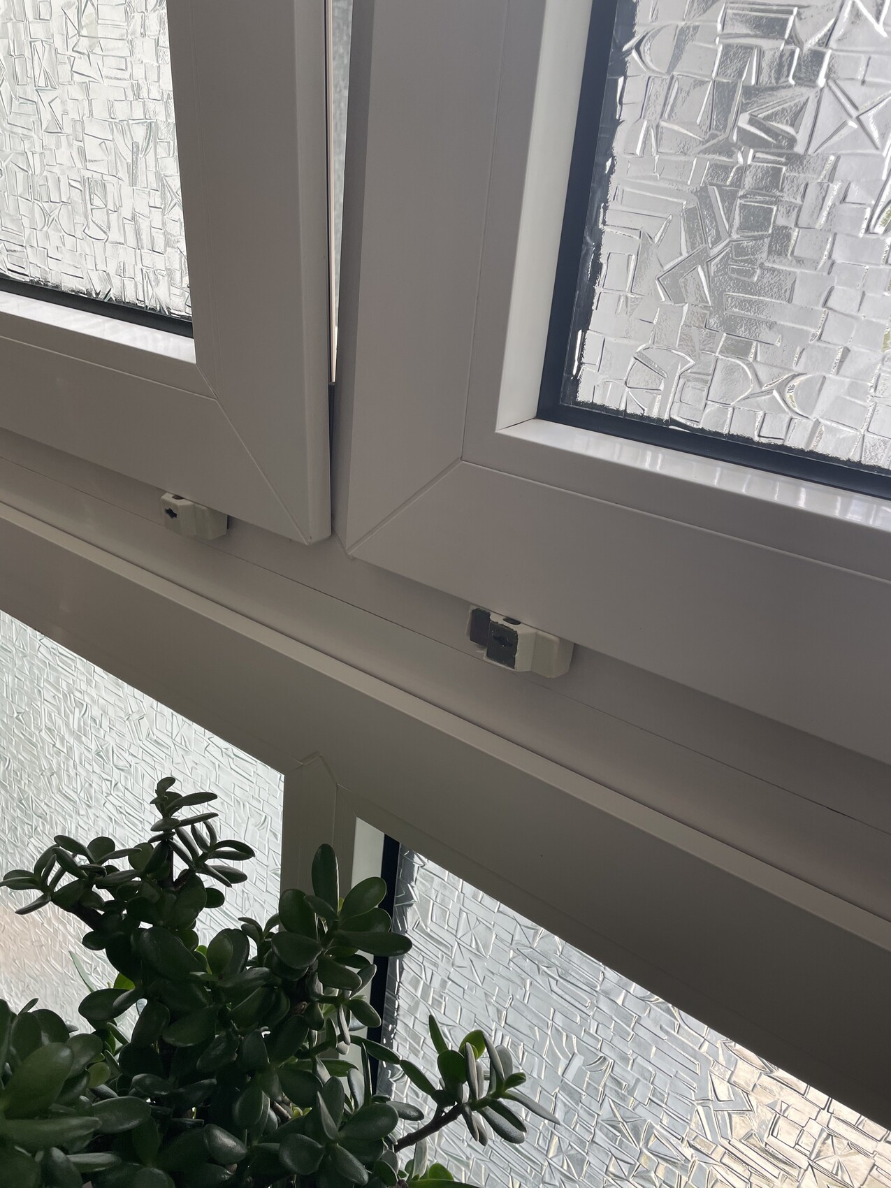 Weißer Fensterrahmen mit zwei Flügeln und strukturiertem Glas; grüne Jadepflanze im Vordergrund.