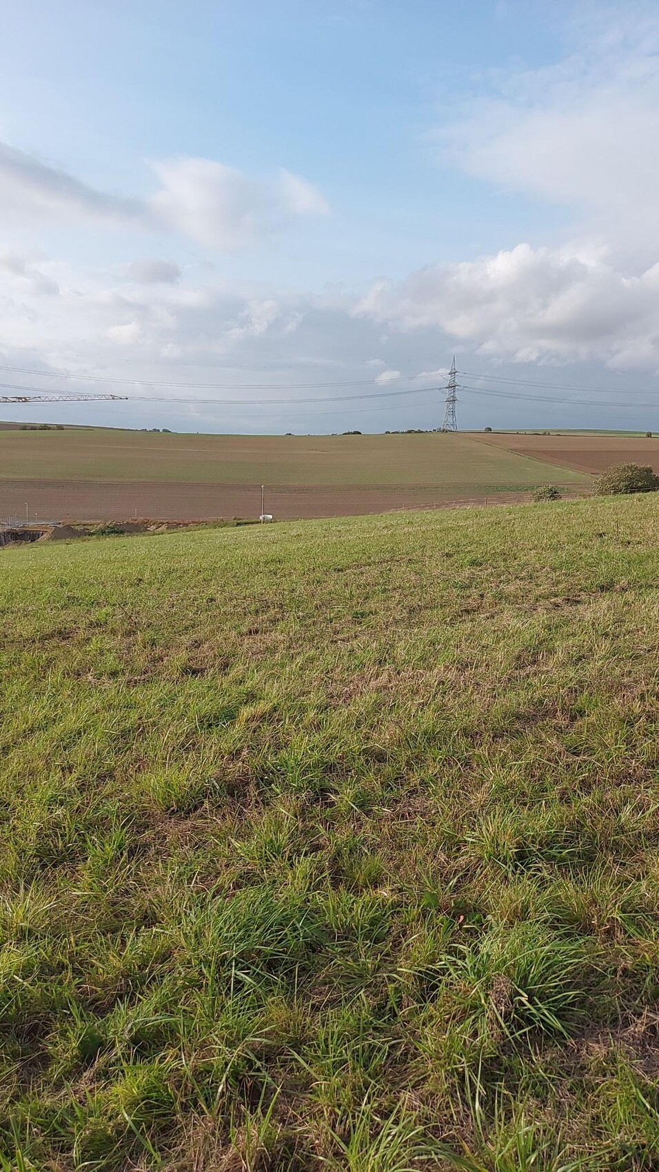 Grünes Grasfeld im Vordergrund, weite Felder, Kran und Hochspannungsmast am Horizont.