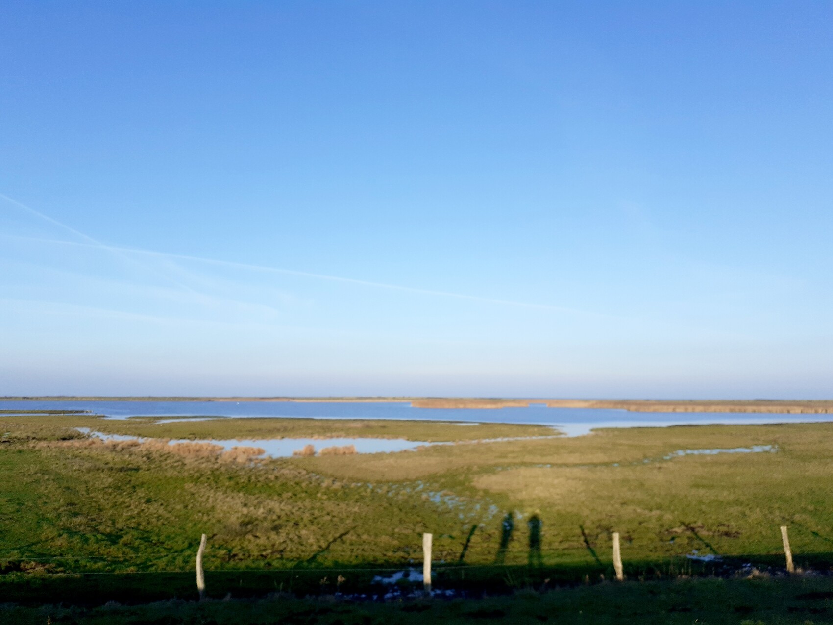 Weite Küstenlandschaft mit Gräben, Grasflächen, blauem Himmel; Pfosten-Reihe im Vordergrund