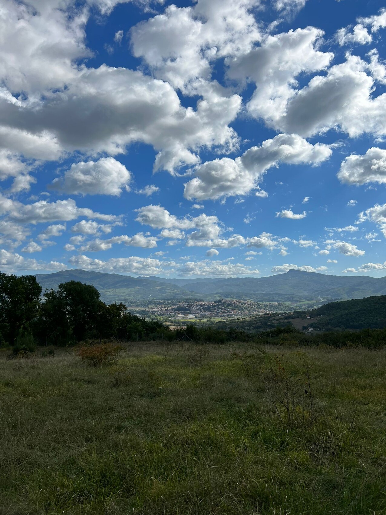 Grasfeld im Vordergrund, Dorf im Tal, Hügel und Berge dahinter, blauer Himmel mit Wolken.
