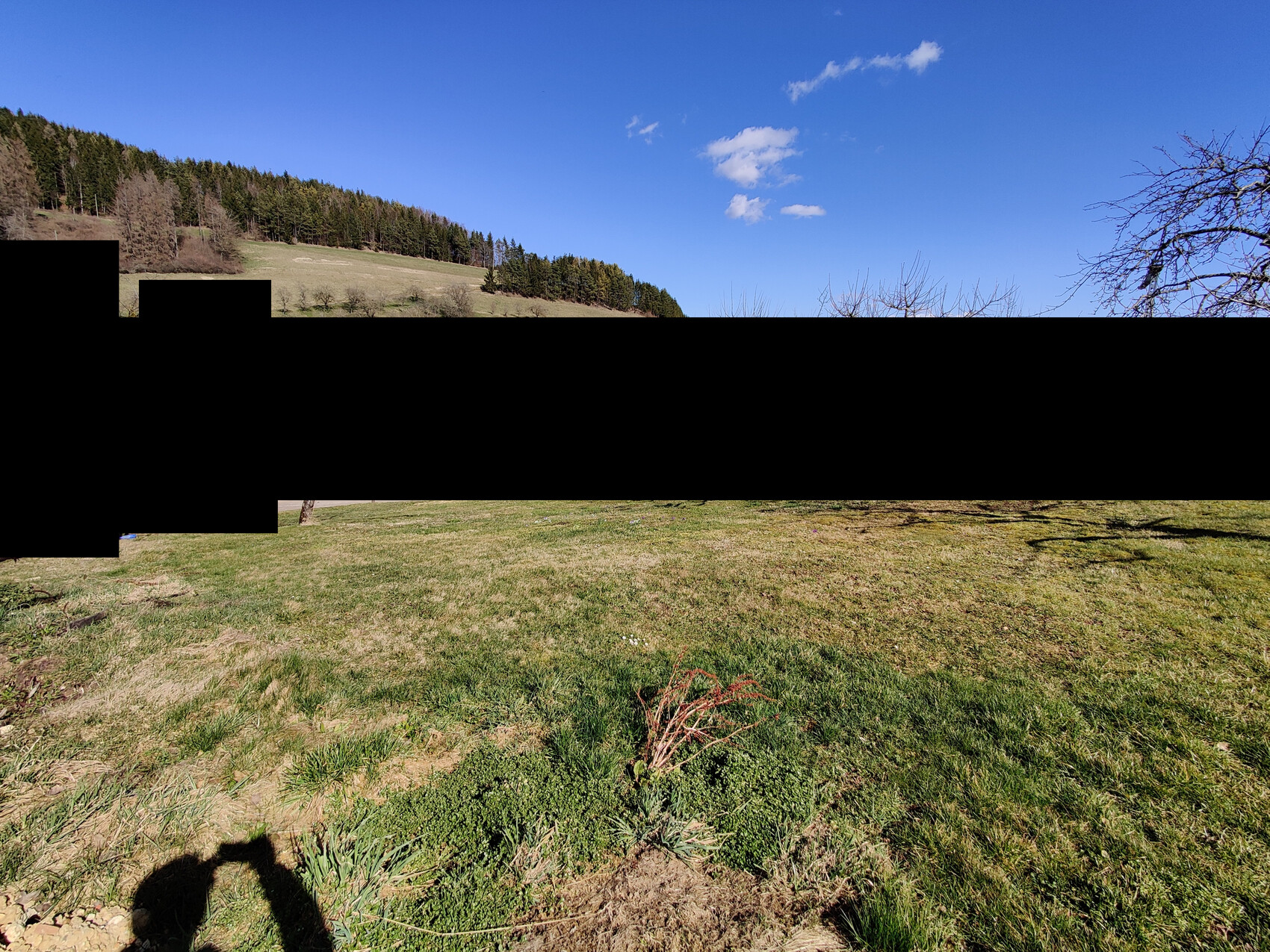 Weite Graslandschaft mit Wald am Horizont, blauem Himmel und Schatten im Vordergrund.