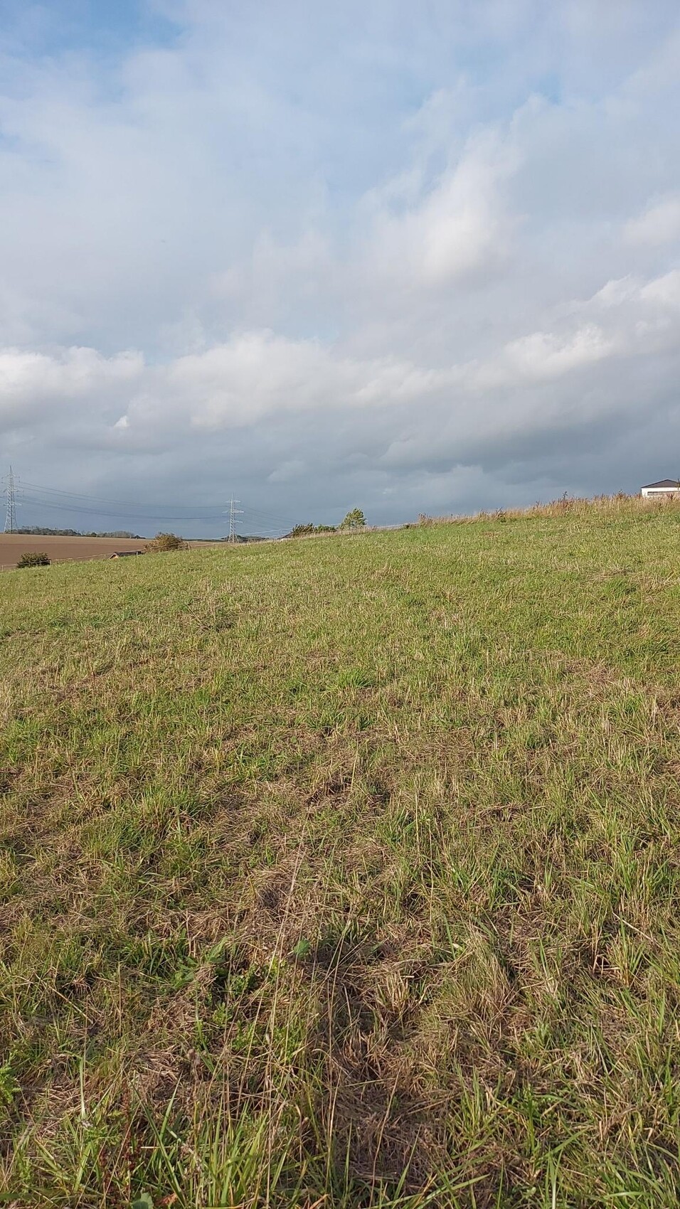 Grünes Feld auf sanfter Anhöhe unter wolkigem Himmel; entfernte Strommasten am Horizont.