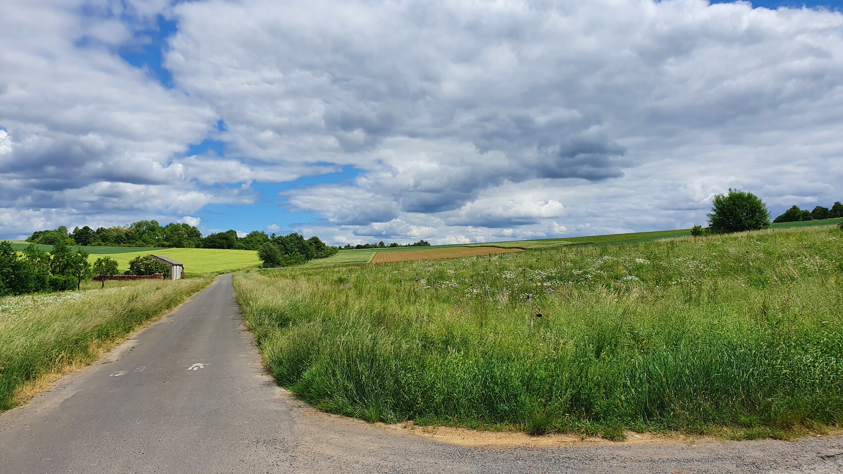 Kleiner Asphaltweg führt durch grüne Felder; linke Scheune, Grasland und wolkiger Himmel.