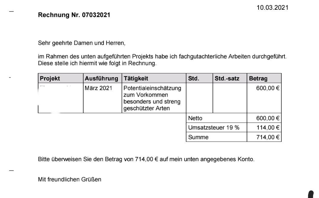 welche-berater-und-analysen-waehrender-der-bauphase-sind-angebracht-510070-1.jpg