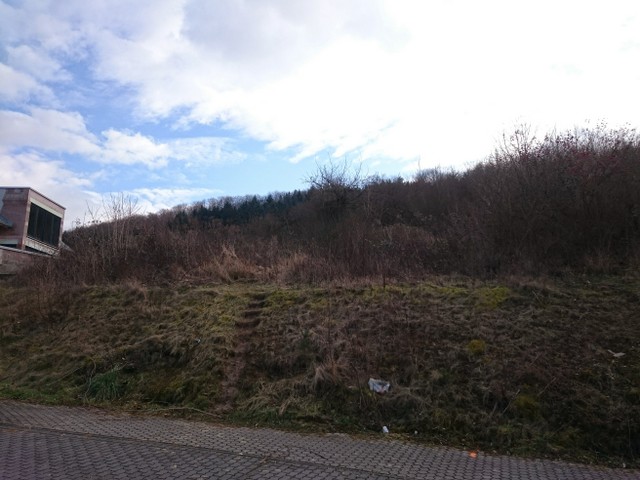 welches-heizungssystem-lwpgaserdwaerme-85085-1.jpg