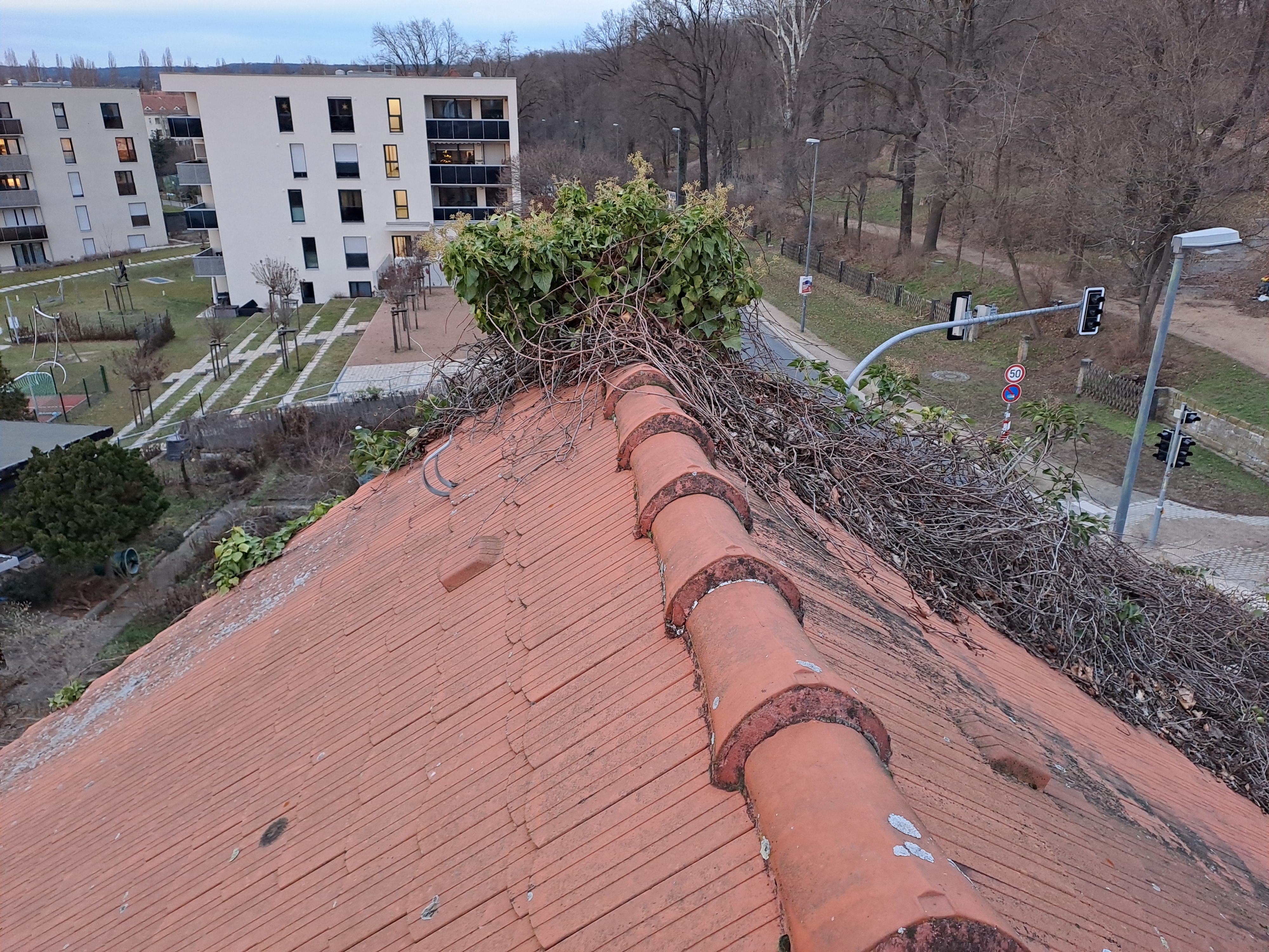 welches-werkzeug-fuer-dachreinigung-678915-2.jpg