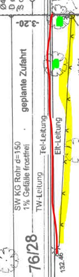 wer-ist-zustaendig-fuer-die-baeume-nachbarzaun-hinter-der-grenze-554901-1.JPG