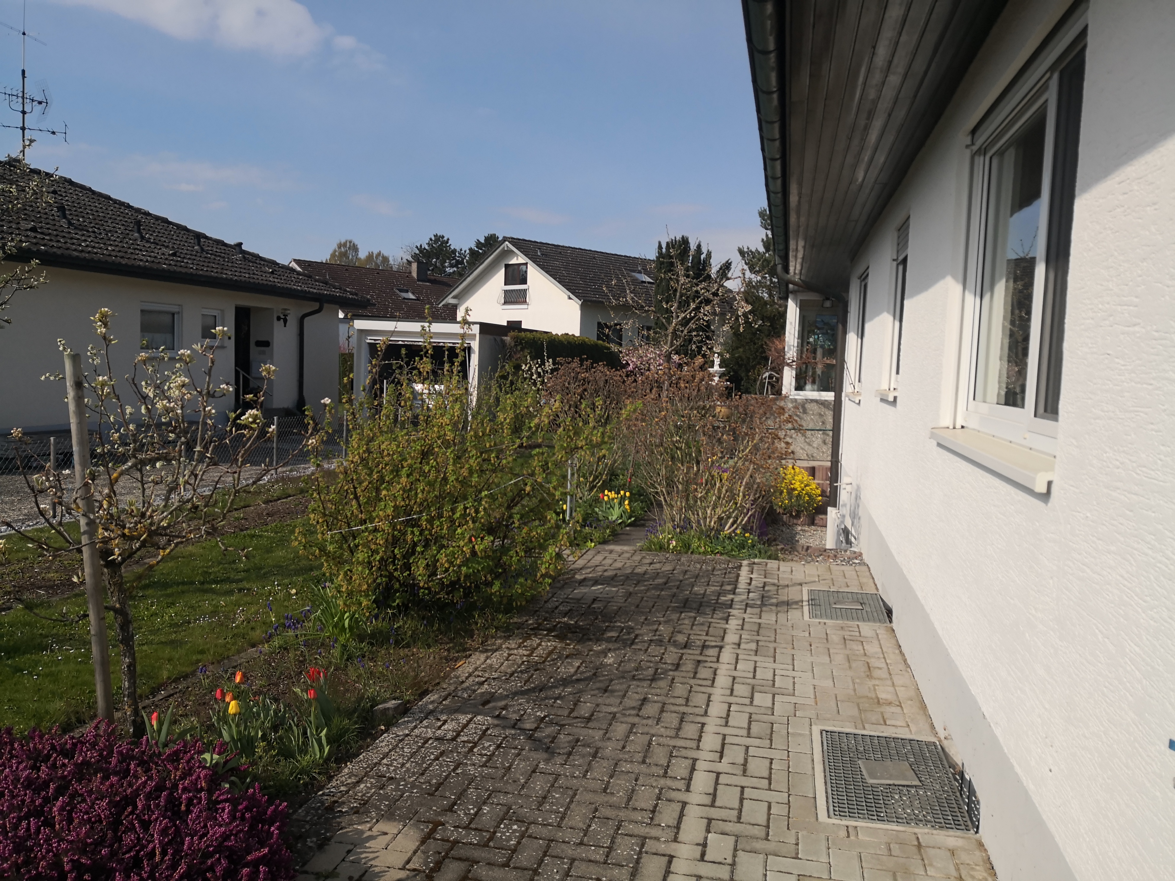 wichtigste-punkte-fuer-spontane-hausbesichtigung-eines-laien-489594-6.jpg