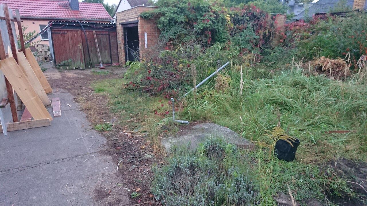 Überwucherter Garten mit Holzbrettern an der Wand und einem Schuppen im Hintergrund.