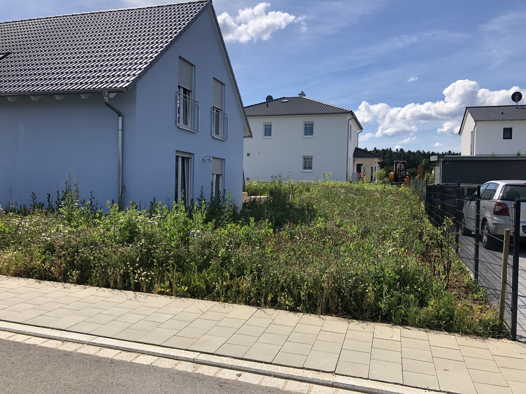 Blaues Einfamilienhaus links, Wildwuchs auf dem unbebauten Grundstück, gepflasterte Straße vorne.
