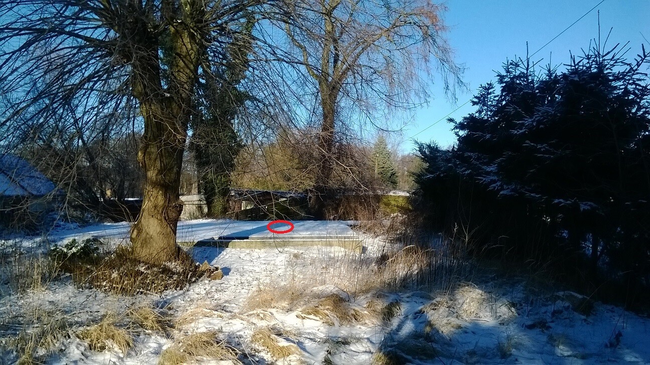 Winterliche Schneelandschaft mit Bäumen; roter Kreis markiert kleinen Gegenstand auf einer Mauer