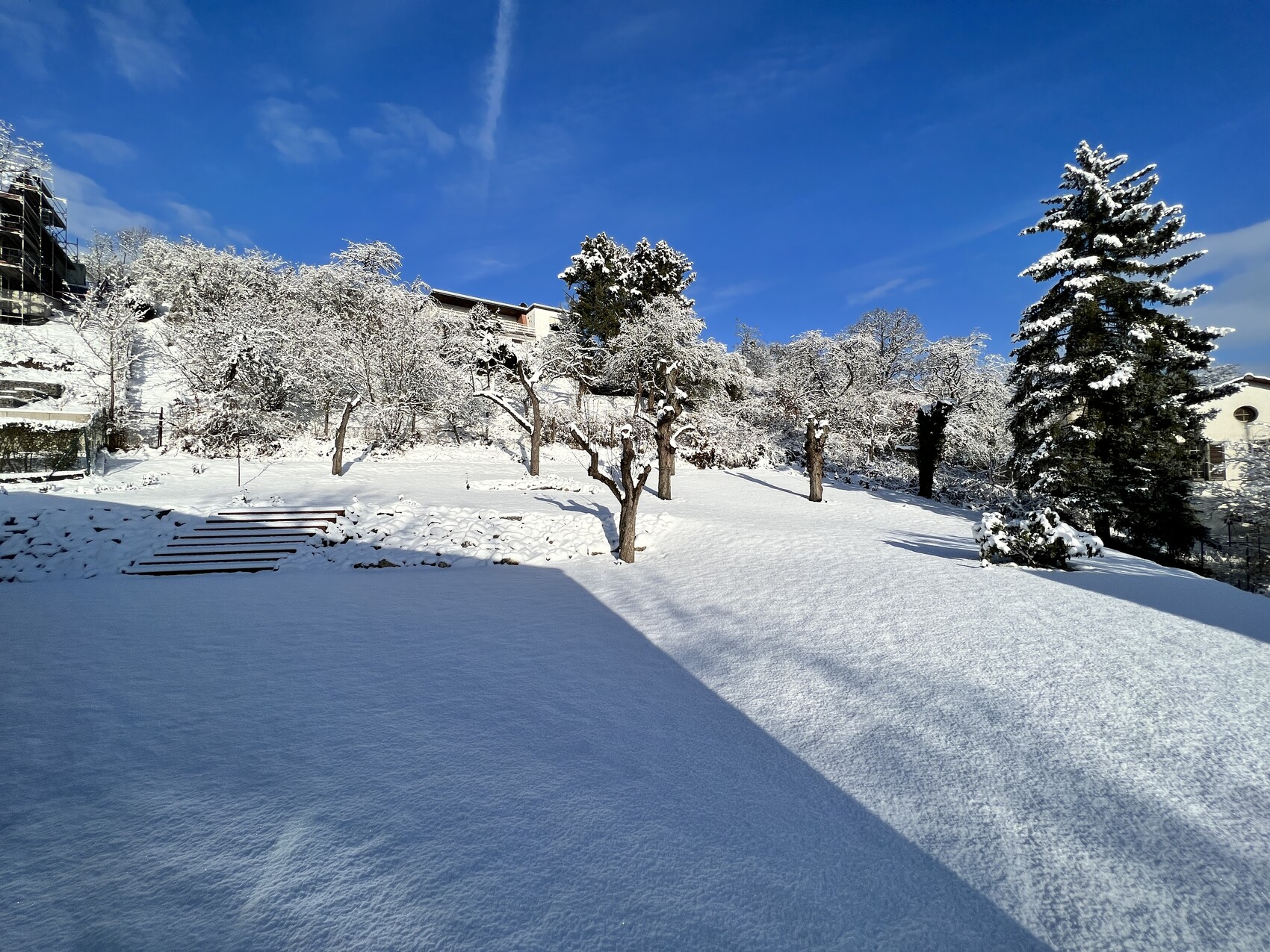 Schneebedeckte Wiese mit Bäumen, Treppen links und blauem Himmel