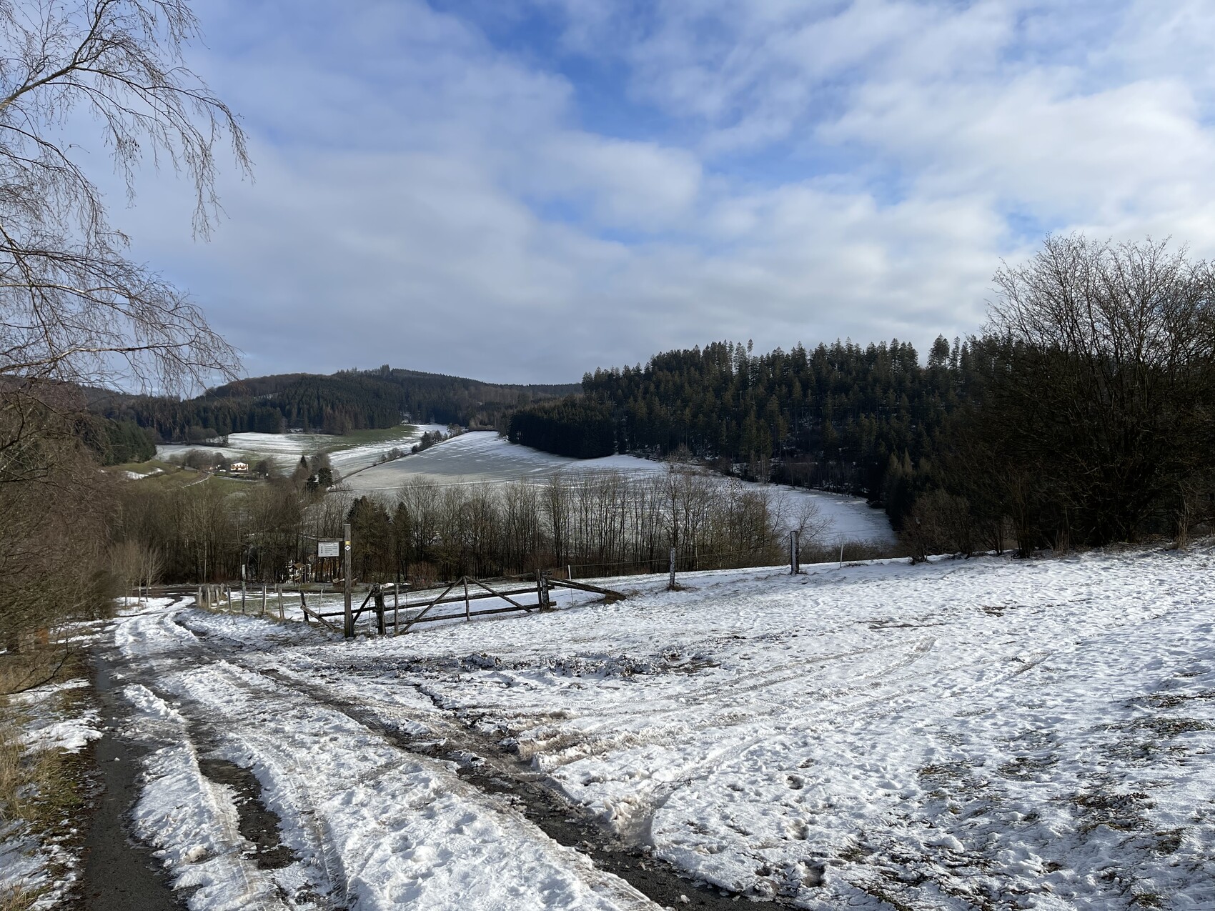 Schneebedeckte Landschaft mit Waldhügeln, verschneitem Weg und Holzzaun im Vordergrund.