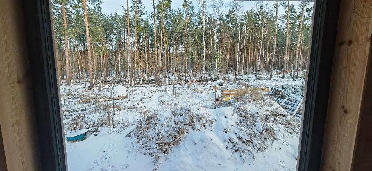 Verschneiter Hofblick durch Tür auf Wald im Hintergrund; Holzreste und Paletten liegen verstreut.