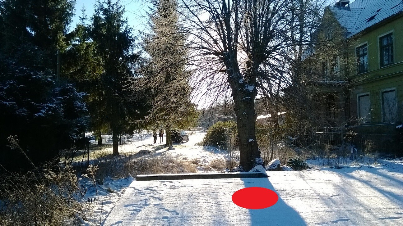 Winterliche Schneelandschaft: zentraler kahler Baum, Sonne dahinter, rechts grünes Haus, links Tannen