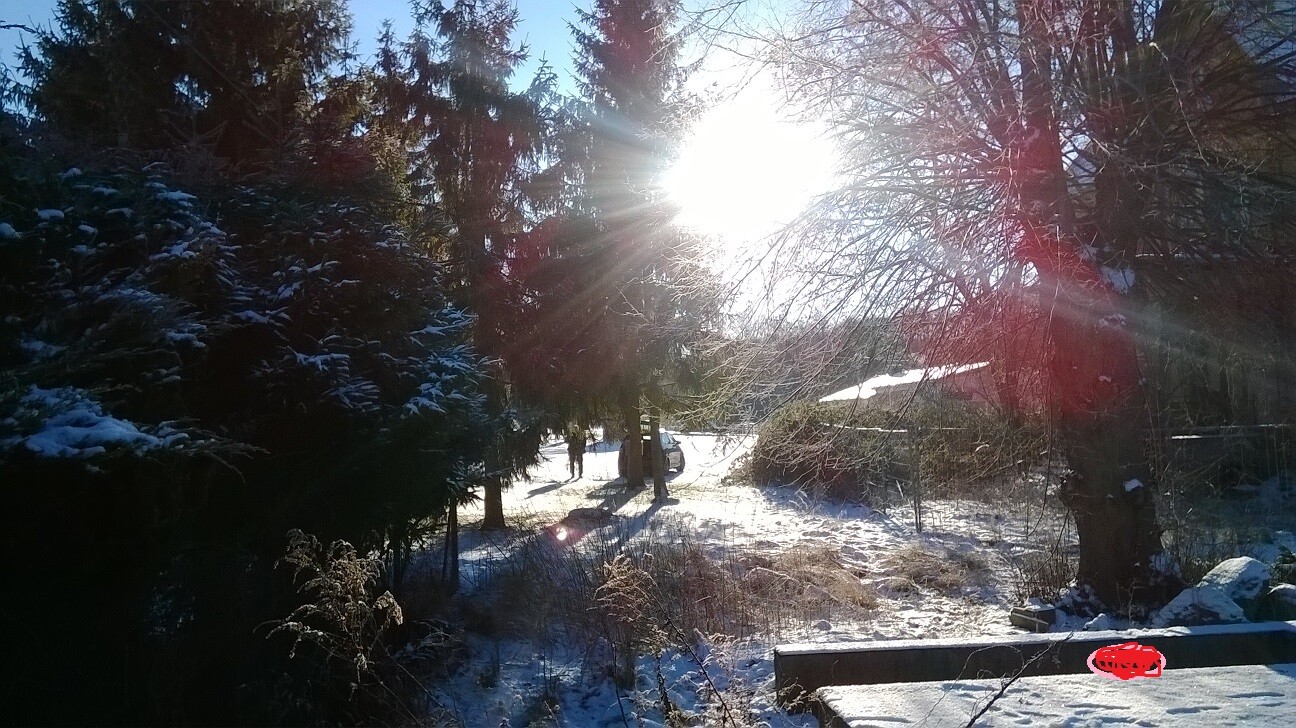 Winterliche Waldlandschaft mit Schnee, Sonne hinter Bäumen, mehrere Personen gehen einen Pfad.