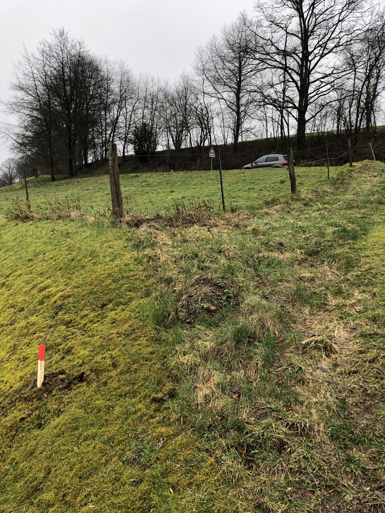 Moosiger Hang mit Holzpfosten; roter Markierungsstab im Vordergrund, Auto am Straßenrand dahinter.
