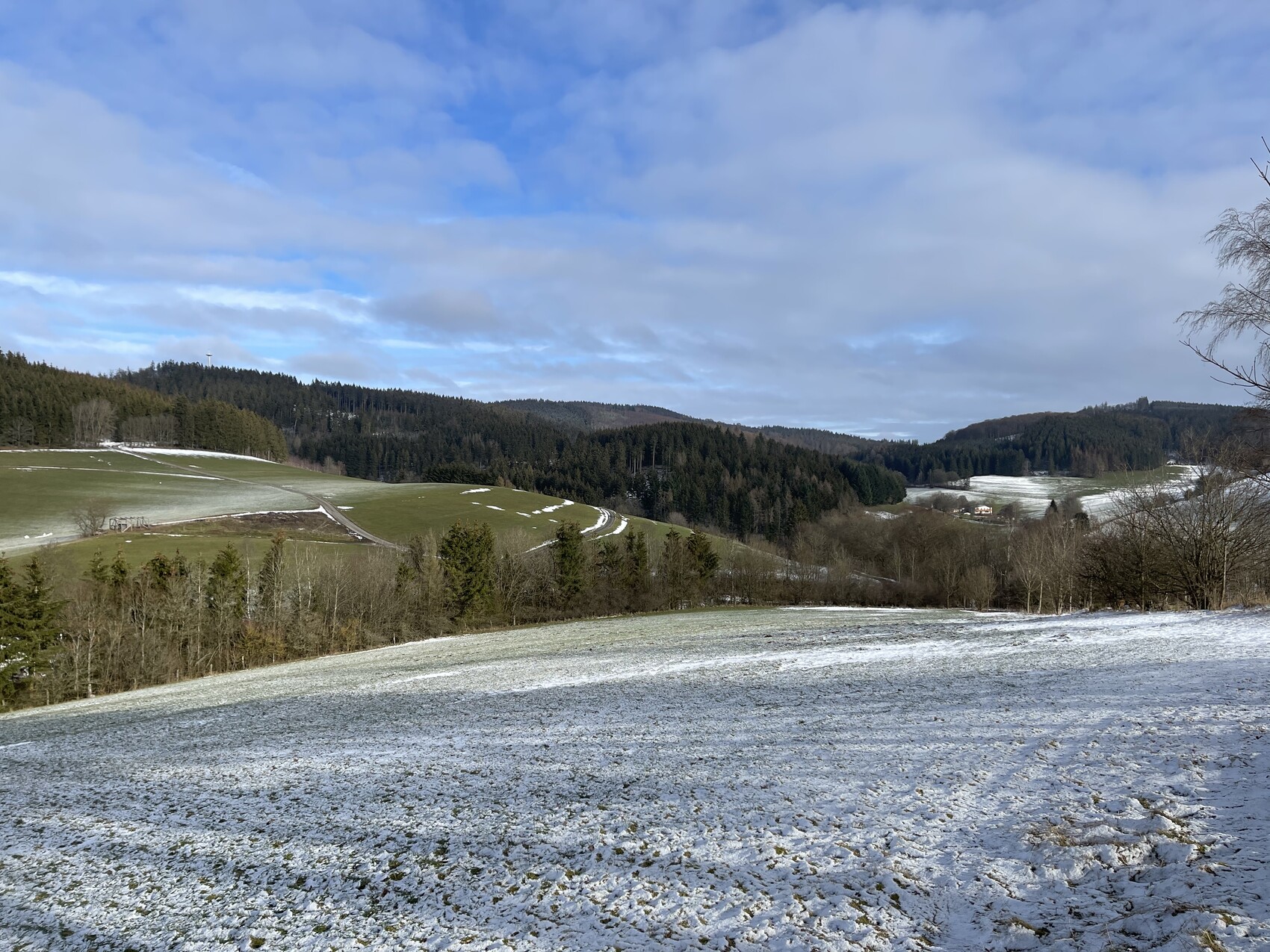 Hügellandschaft mit schneebedeckten Feldern, Wald im Hintergrund, blauer Himmel