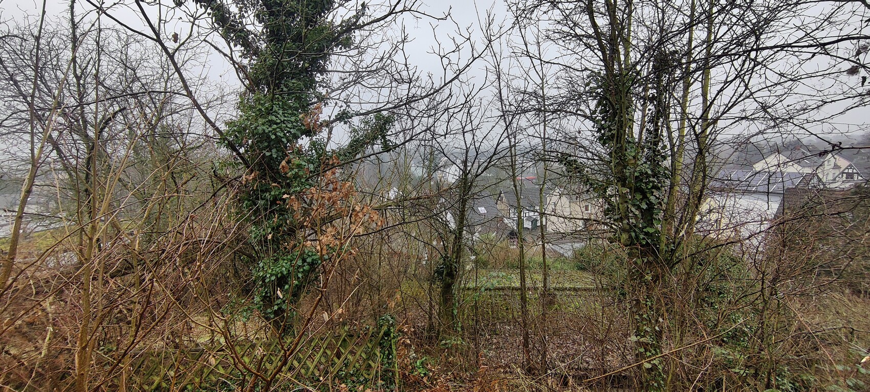 Kahle Bäume und Dickicht vor einer Häuserzeile bei grauem Winternebel.