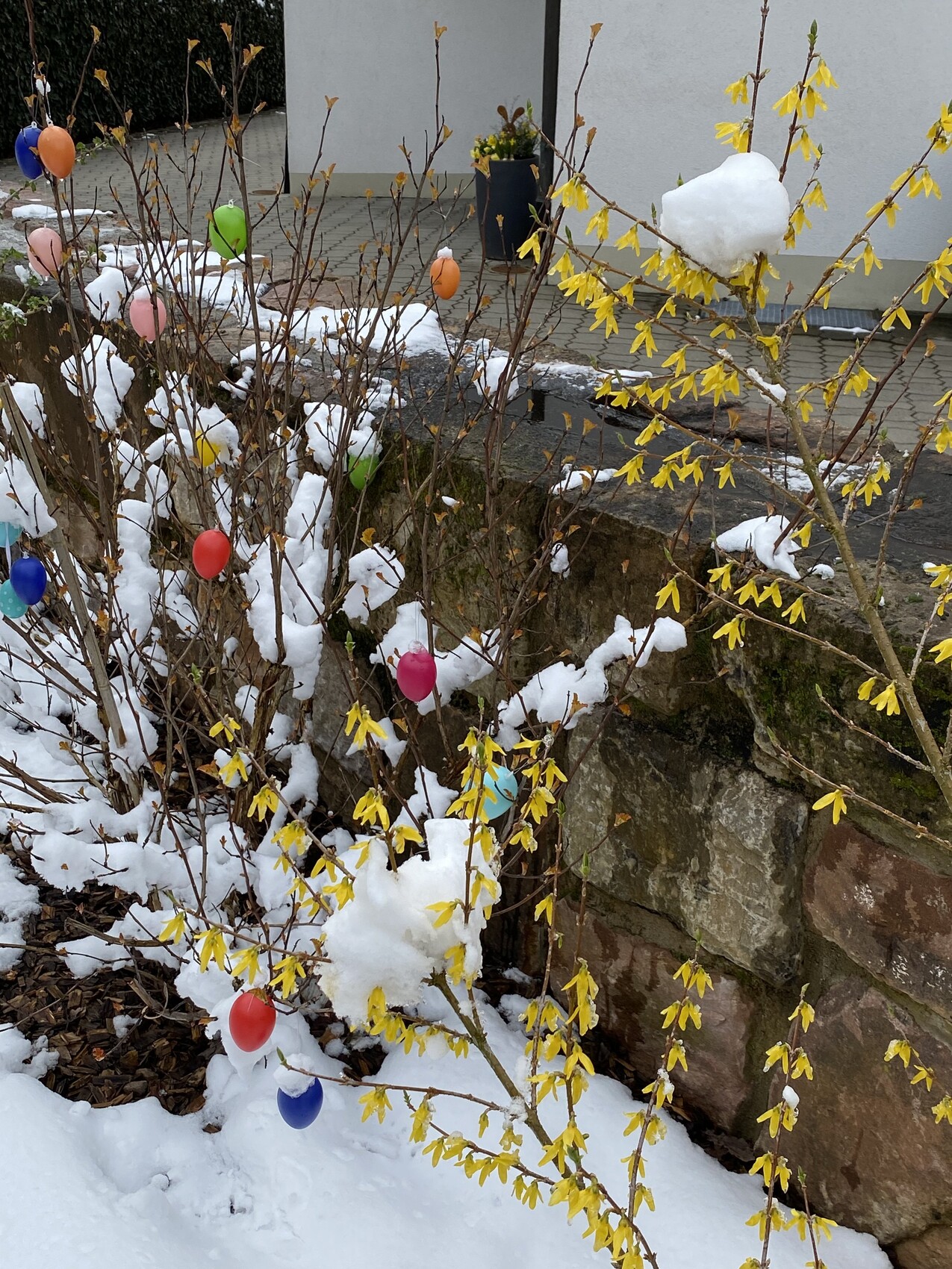 winterlicher-garten-deko-ostereier-am-zweig-im-schnee.jpeg