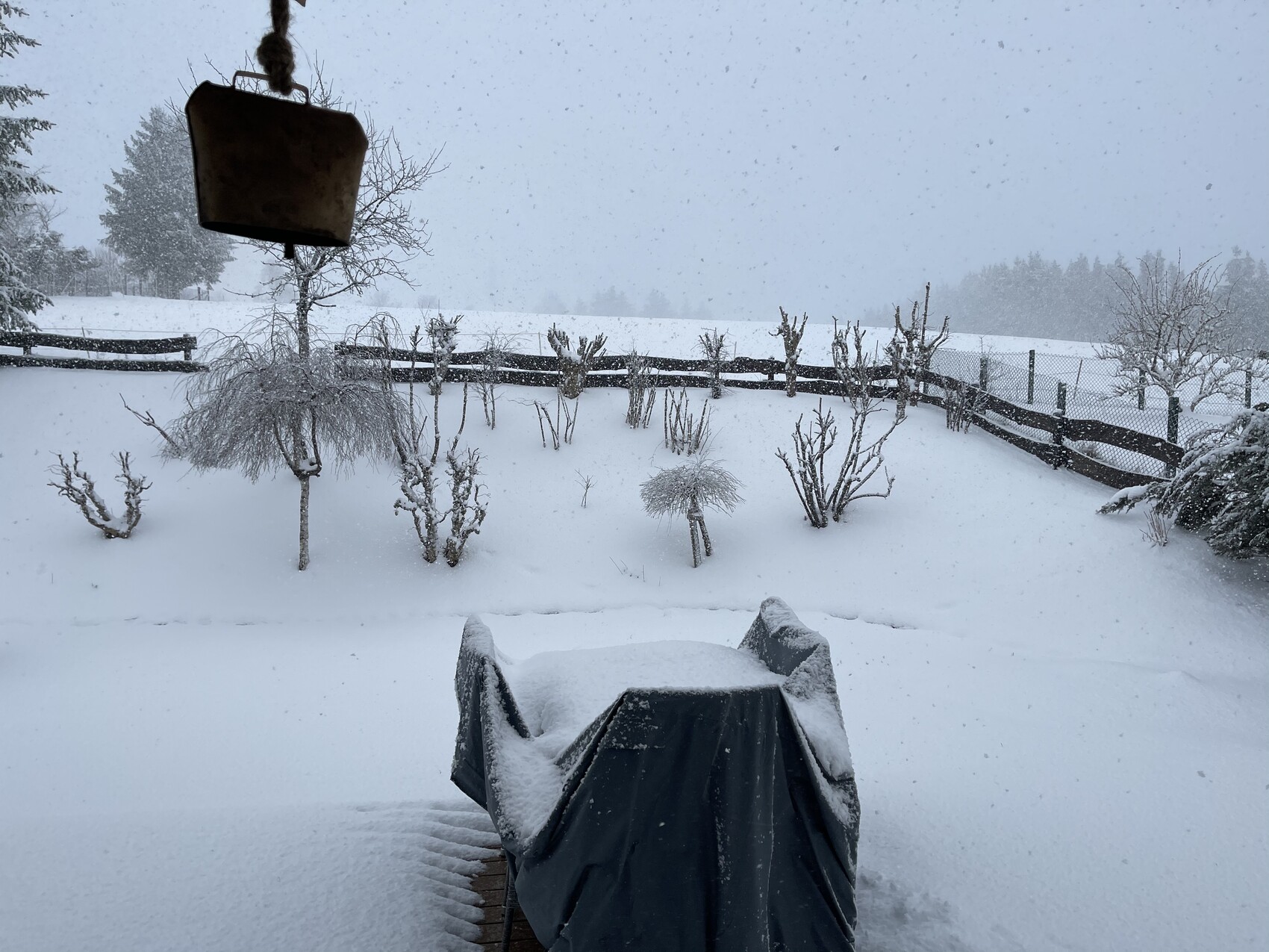 Schnee bedeckter Garten mit Grillabdeckung, kahlen Bäumen und Holzzaun.