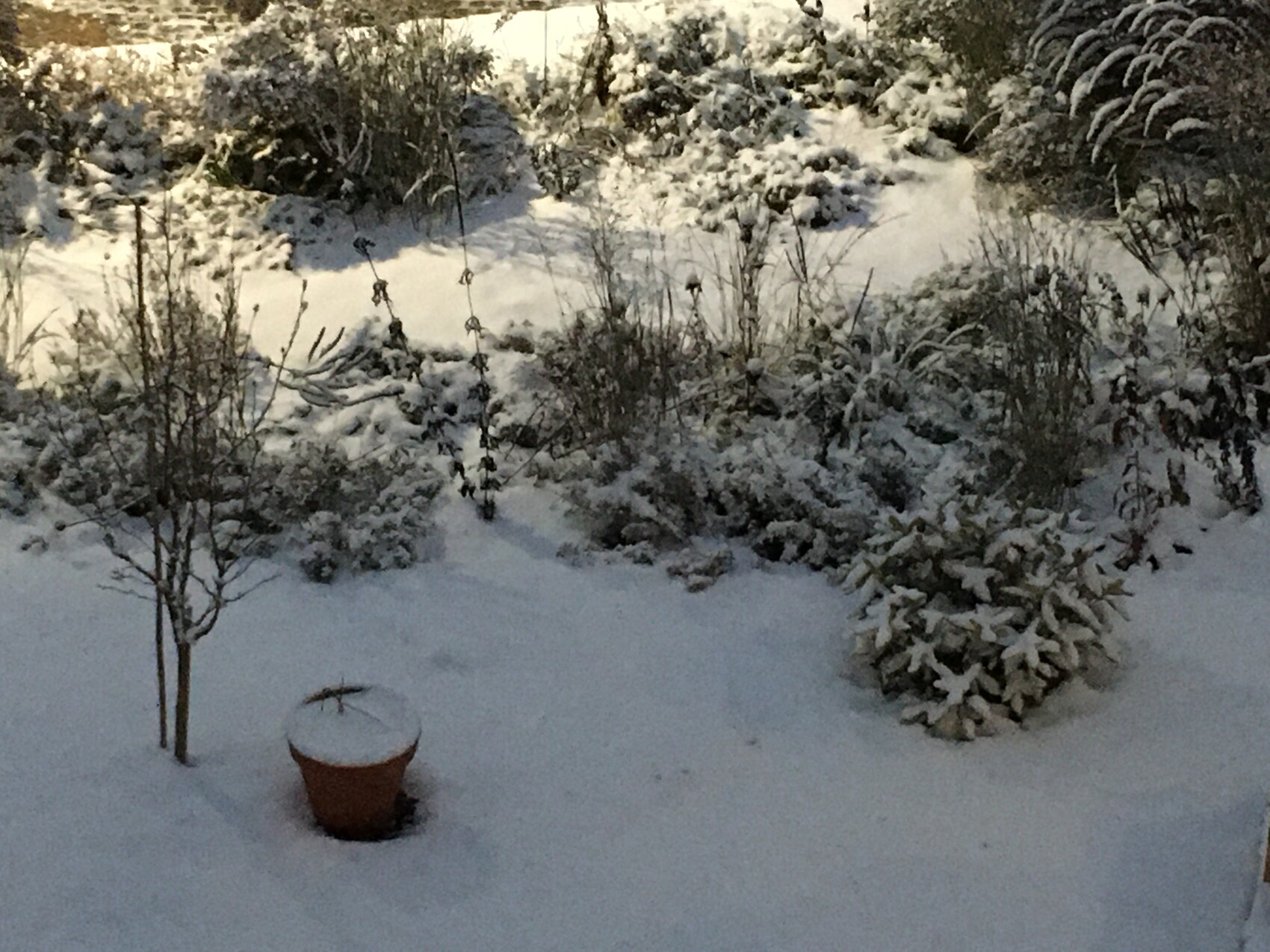 Schneebedeckter Garten mit kleinen Sträuchern, Bäumen und rotem Blumentopf im Schnee.