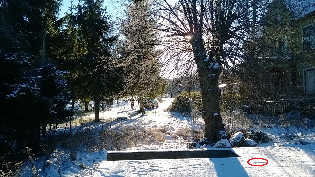 Winterliche Schneelandschaft; Sonne hinter Baum, links Tannen, rechts Haus, kreisförmiger Fleck.