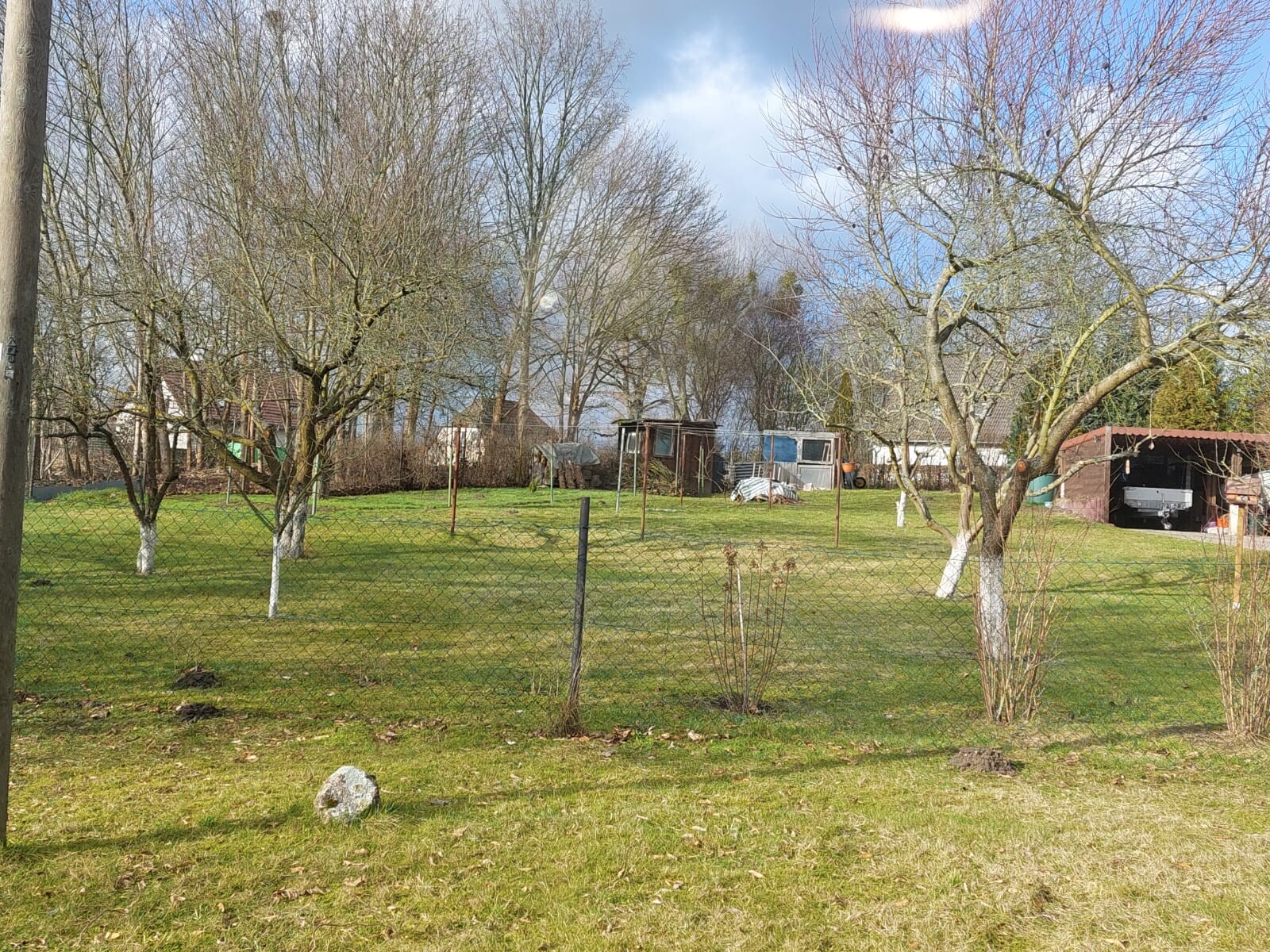 Garten mit freiem Gras, mehreren blattlosen Bäumen und Zaun vorn; Schuppen im Hintergrund.