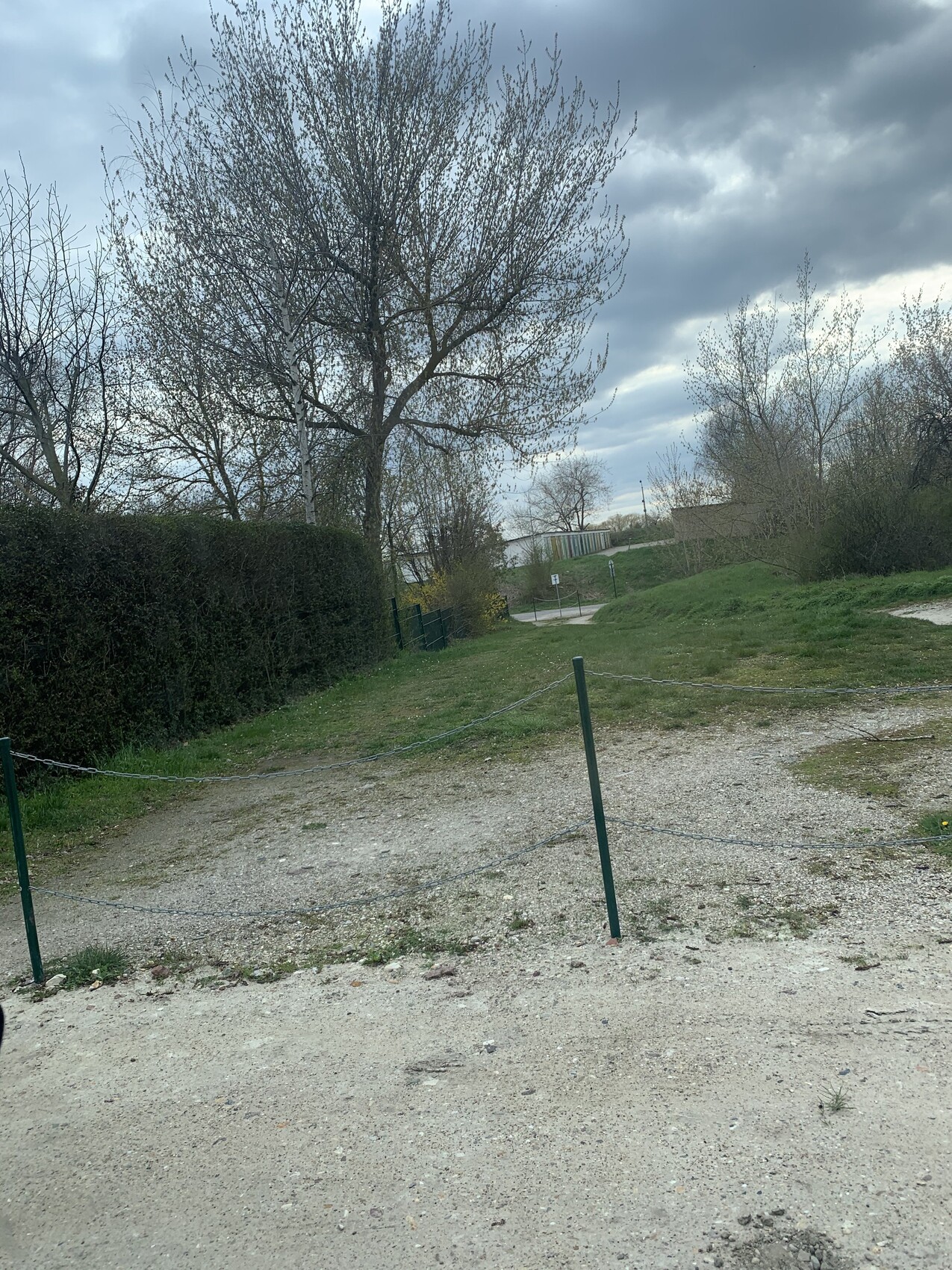 Blätterloser großer Baum neben einer Hecke; Weg mit Kettenzaun, Kiesweg, wolkiger Himmel.
